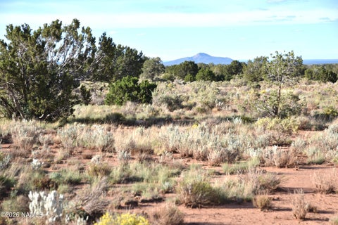 Featured picture for the property 206200