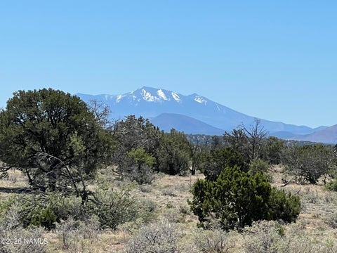 Photo of Williams, AZ 86046 (MLS # 204548)