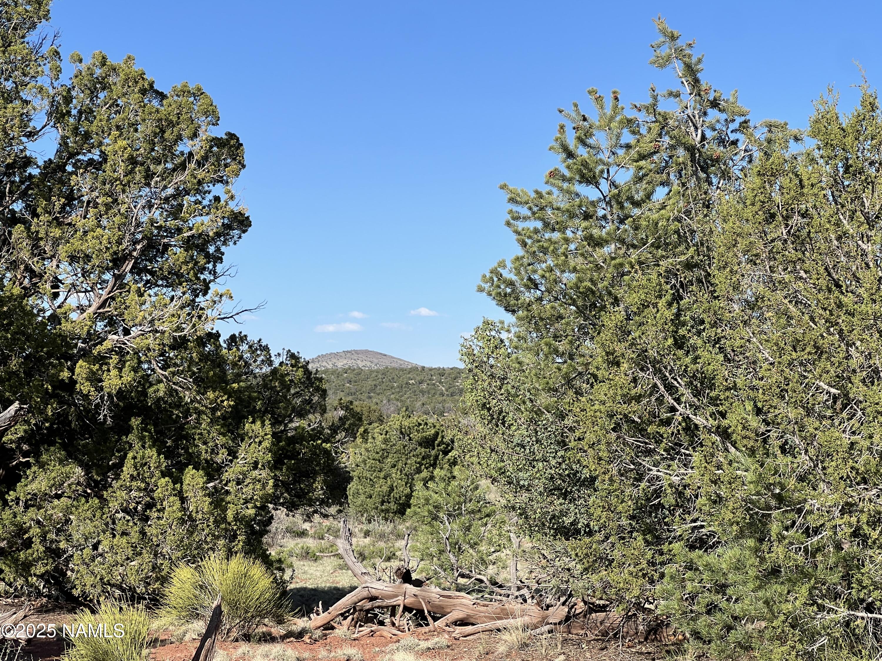 8755 S Rim Ranch Road