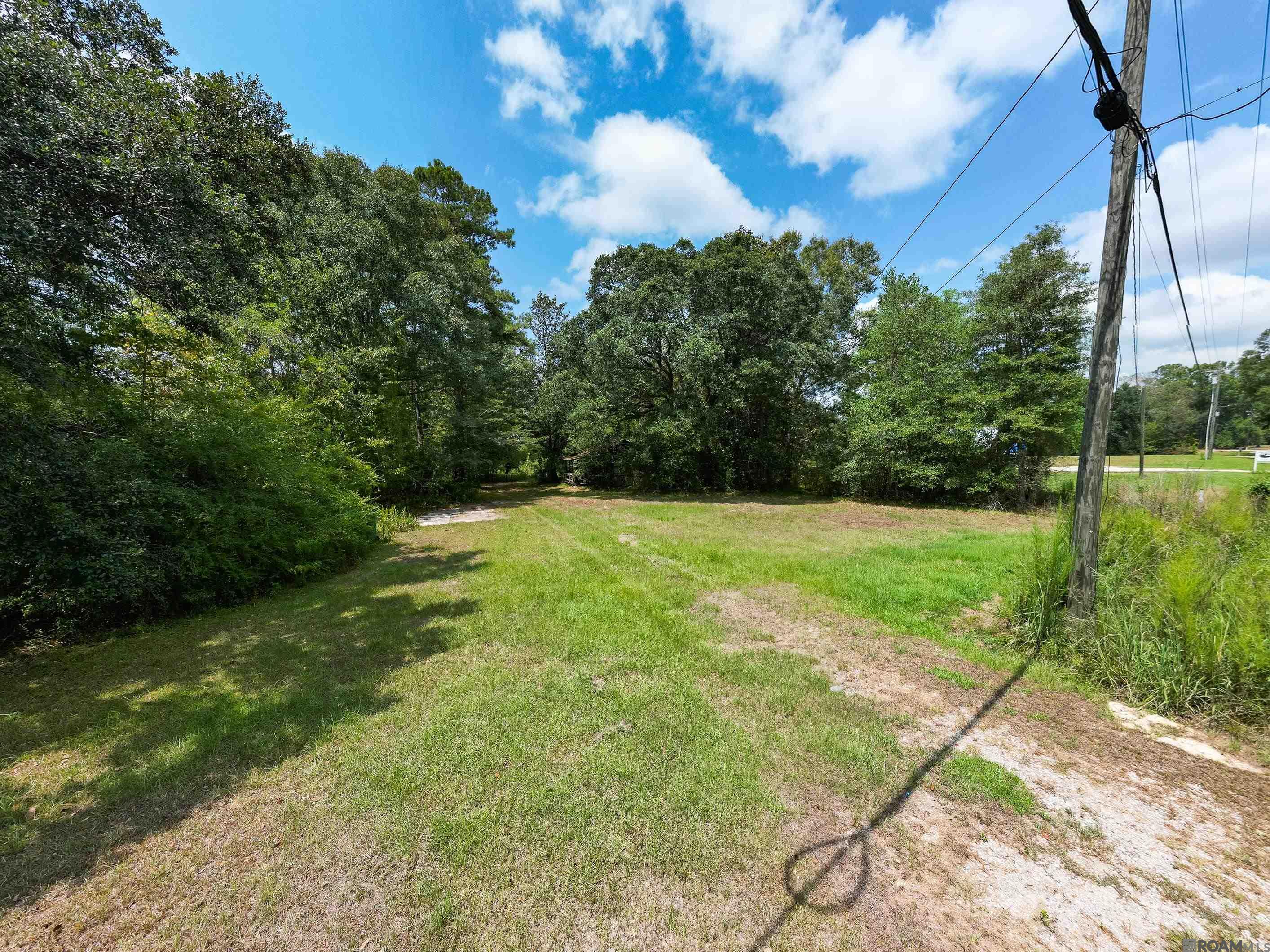 24221 Joe May Rd, Denham Springs, Louisiana image 3