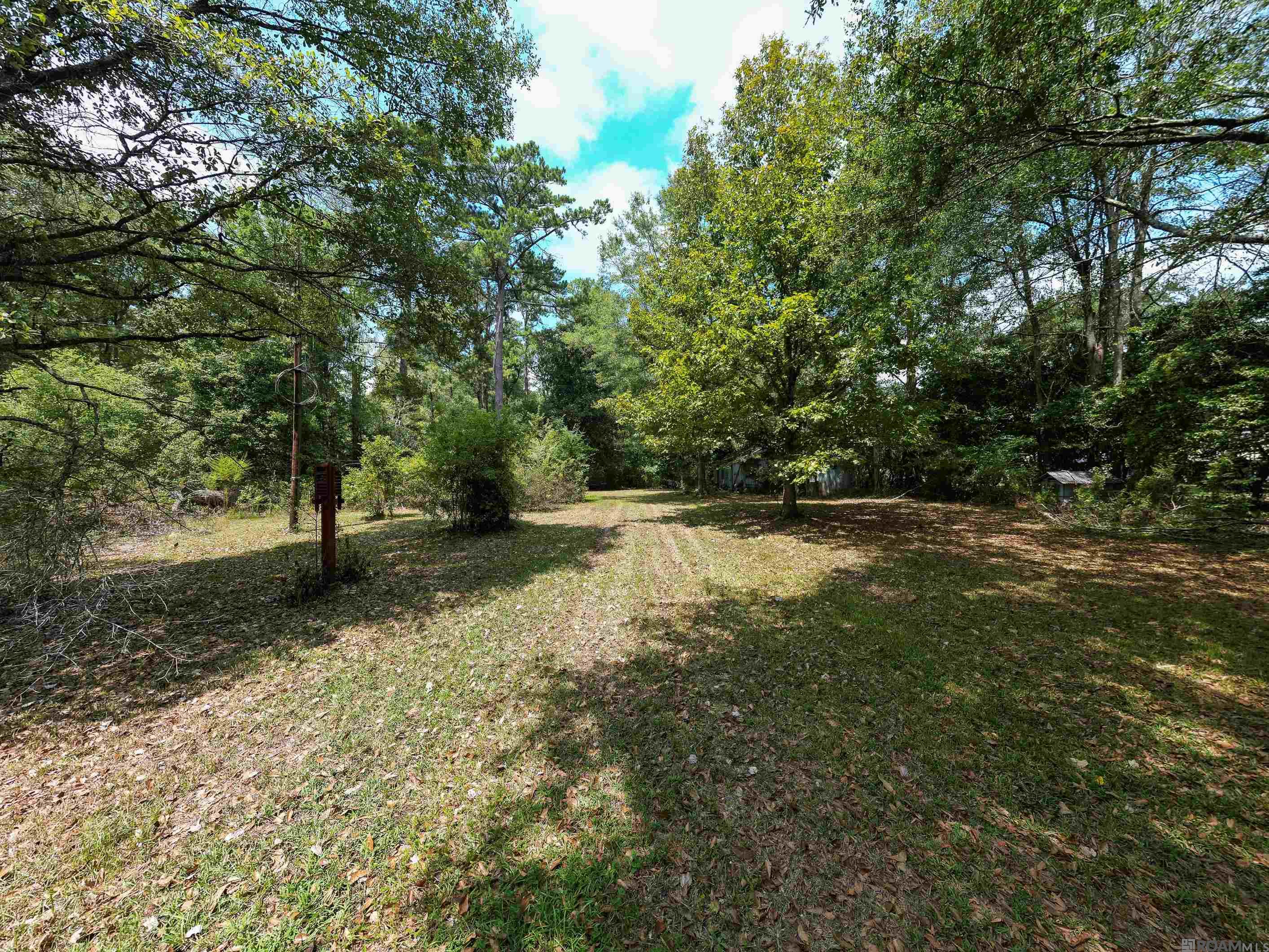 24221 Joe May Rd, Denham Springs, Louisiana image 4