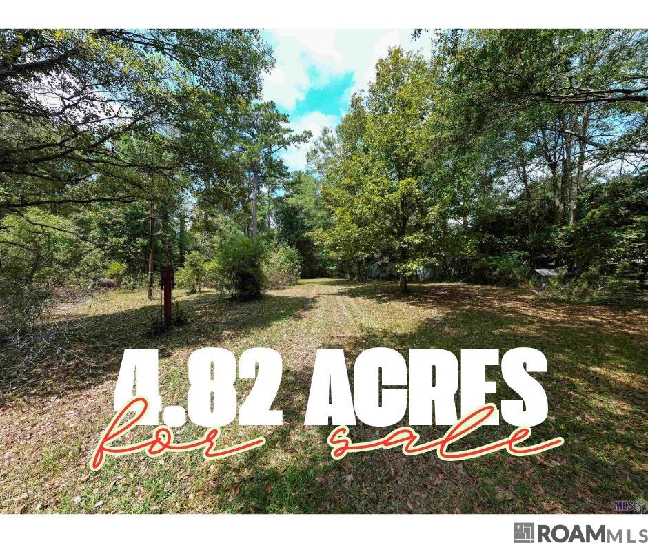 24221 Joe May Rd, Denham Springs, Louisiana image 1