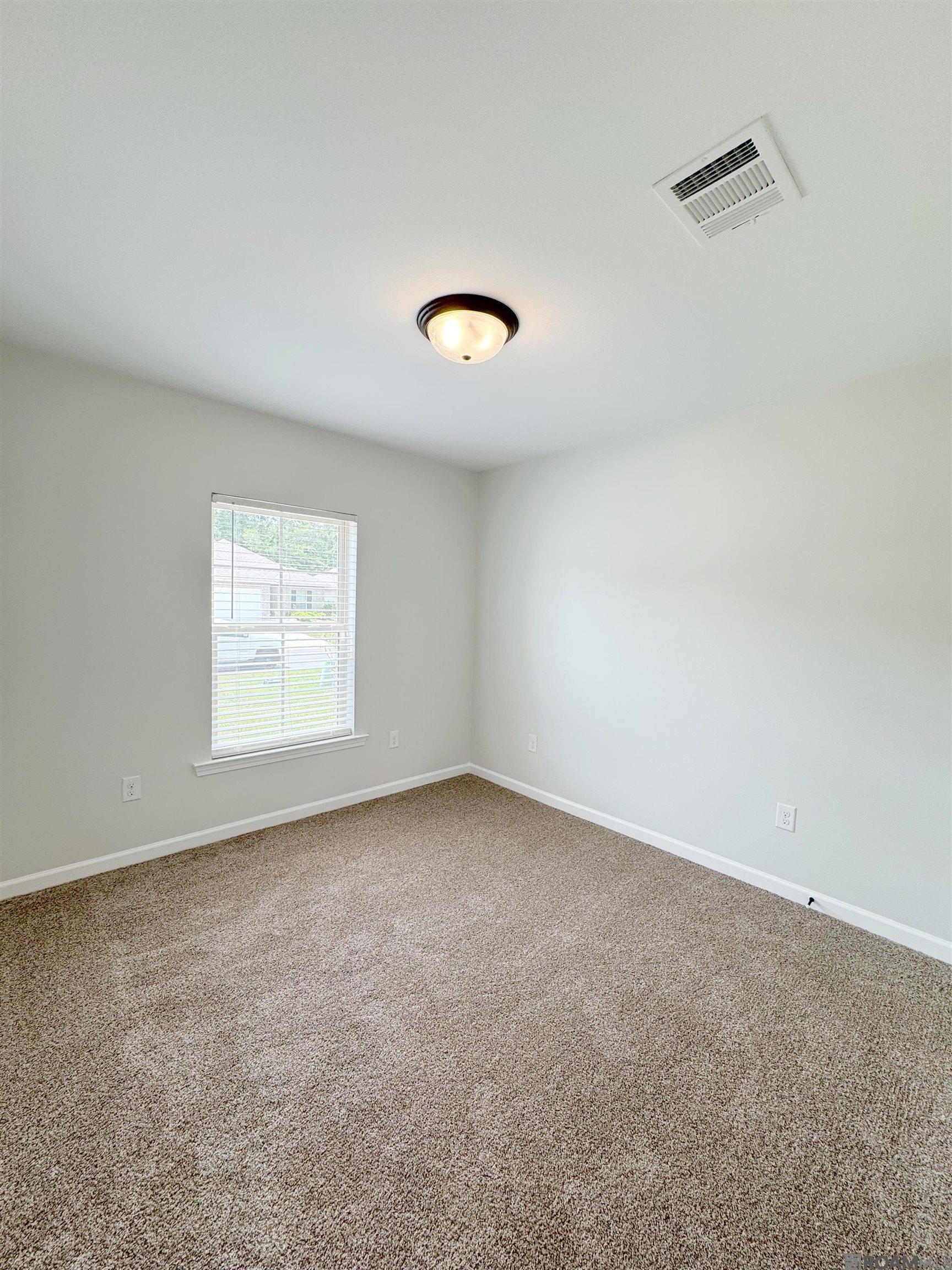 13919 Colt Dr, Denham Springs, Louisiana image 15