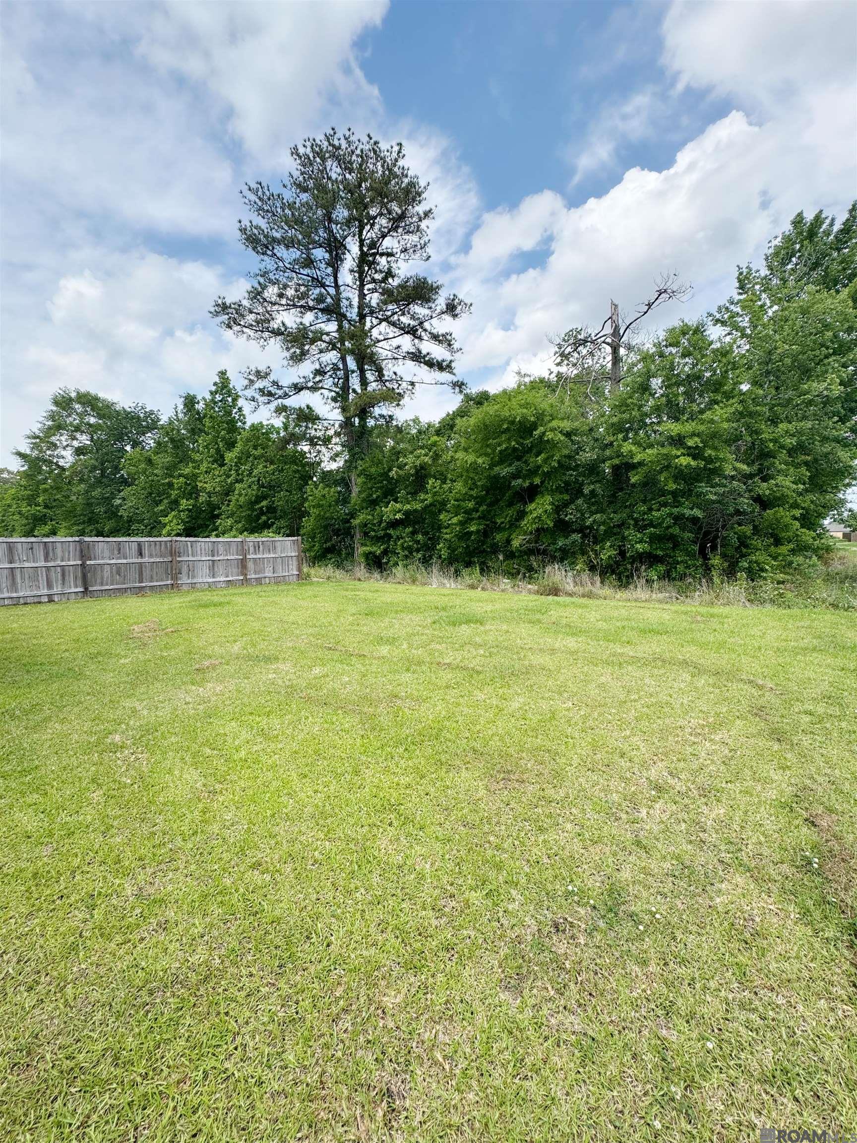 13919 Colt Dr, Denham Springs, Louisiana image 4