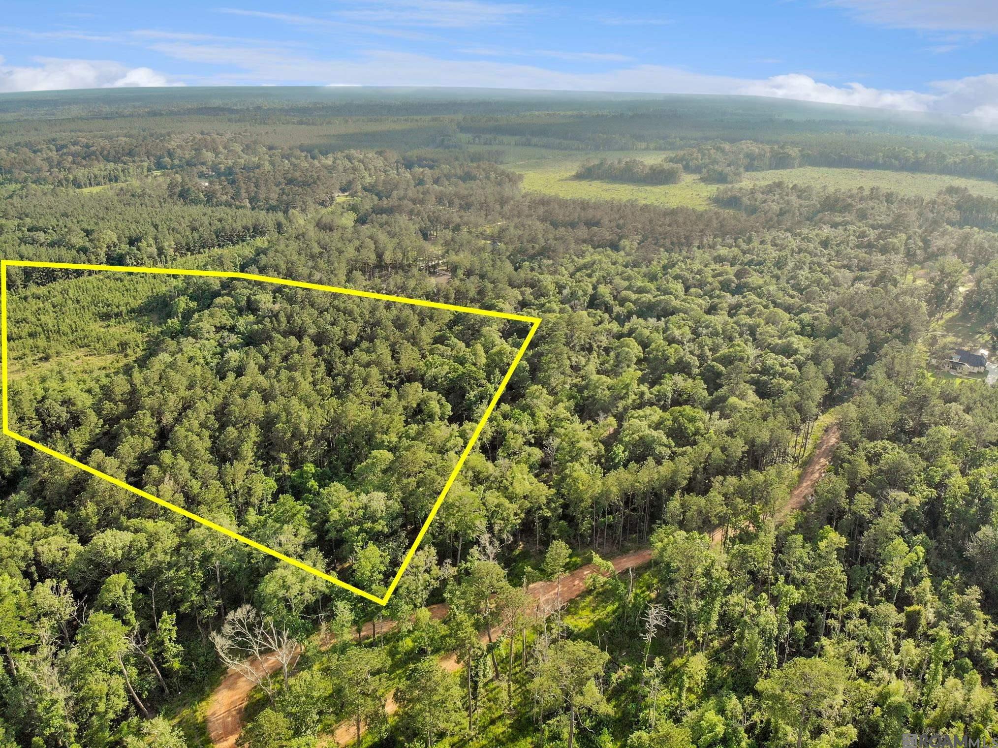Lot 7 Livingston Farms Lane, Livingston, Louisiana image 1