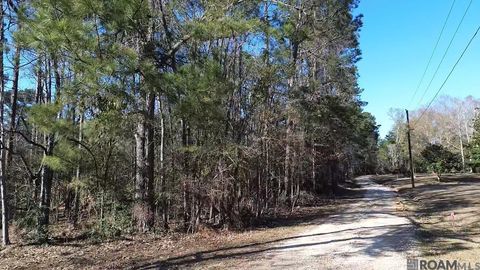 Vacant Land For Sale - TRACT A & B Mcclendon Ln<br/> Amite, LA 70422