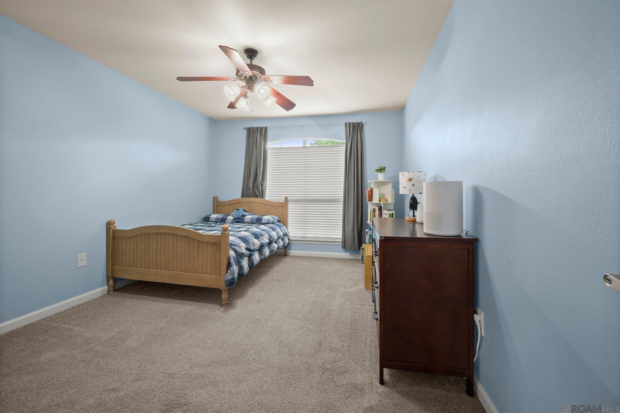 26017 Big Ben Dr, Denham Springs, Louisiana image 15