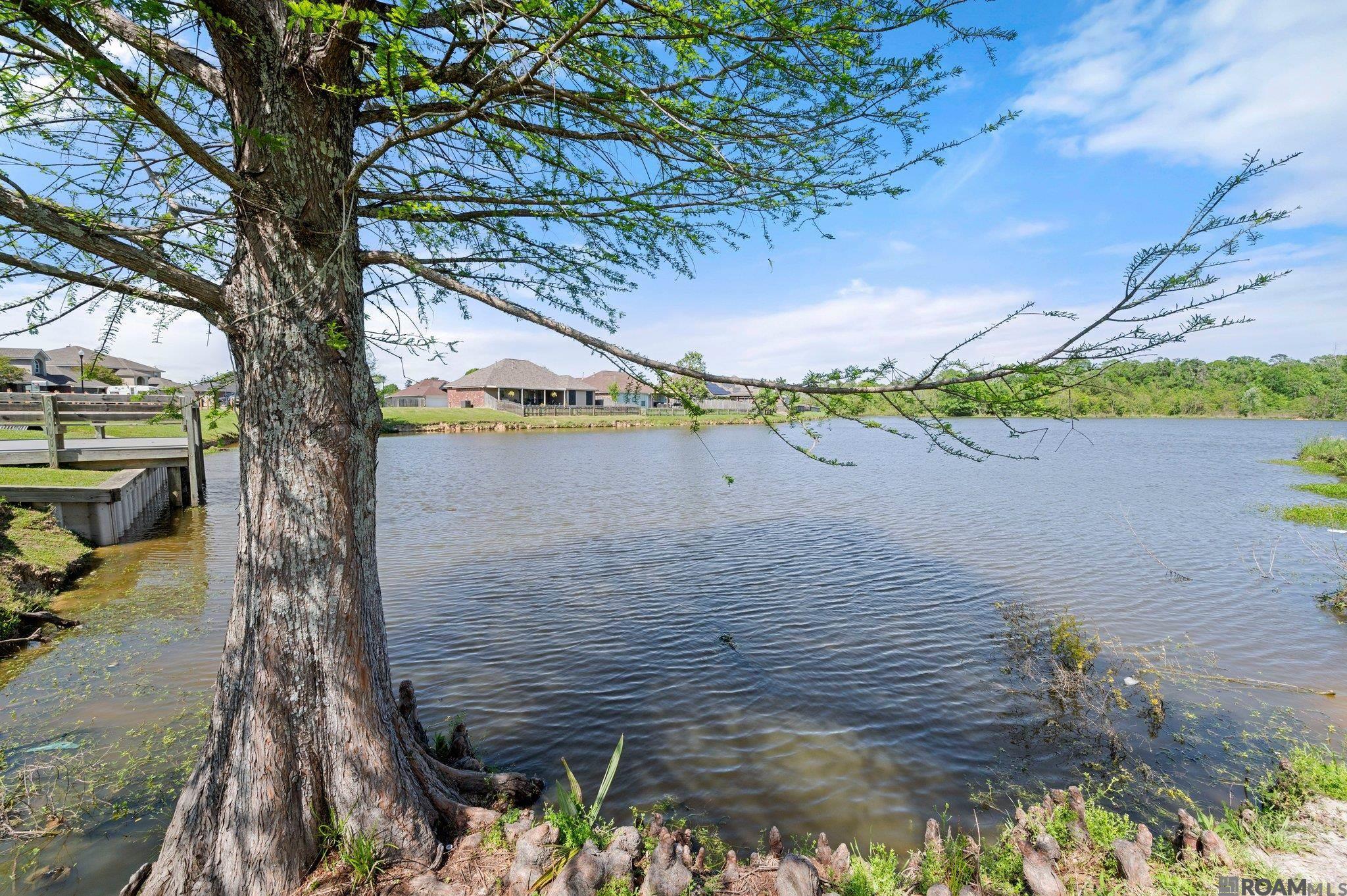 35971 Raleigh Dr, Denham Springs, Louisiana image 21