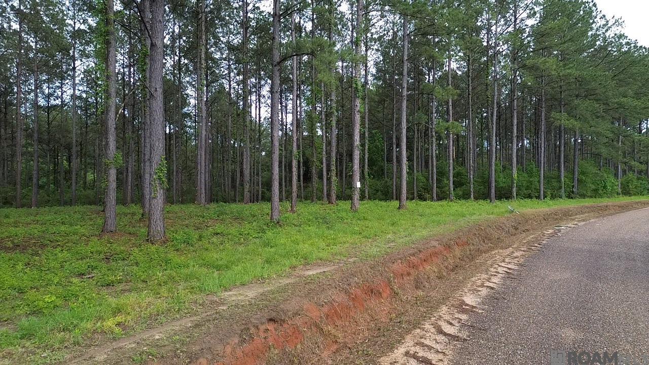 Tract B Monroe Stevens Rd, Kentwood, Louisiana image 1