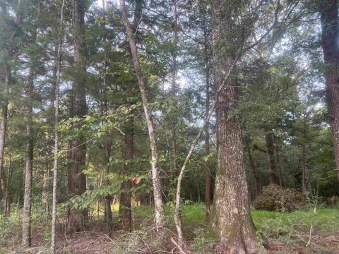 Vacant Land For Sale - 3 Three Knotch Rd<br/> Clinton, LA 70722
