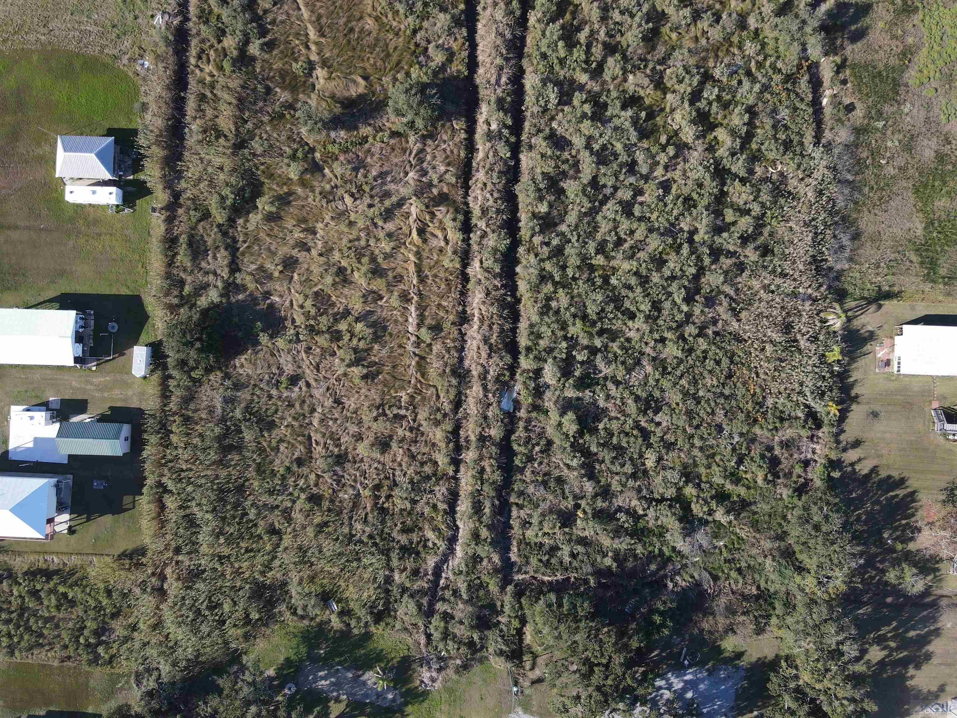 Lot 8 Sq O Elm, Grand Isle, Louisiana image 4