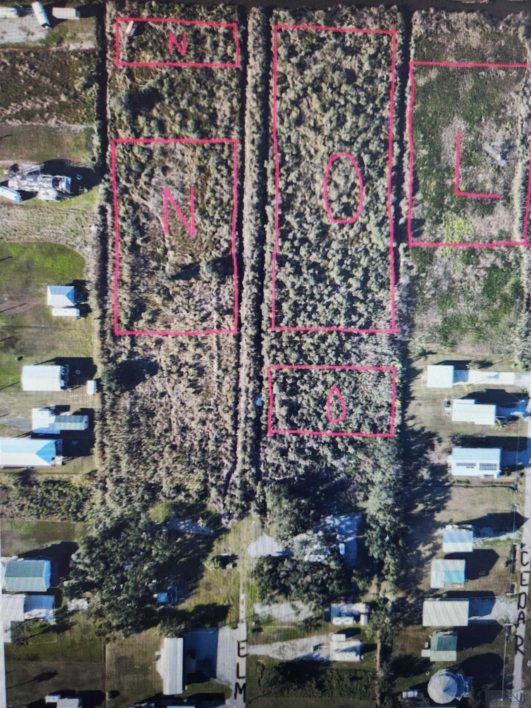 Lot 8 Sq O Elm, Grand Isle, Louisiana image 2