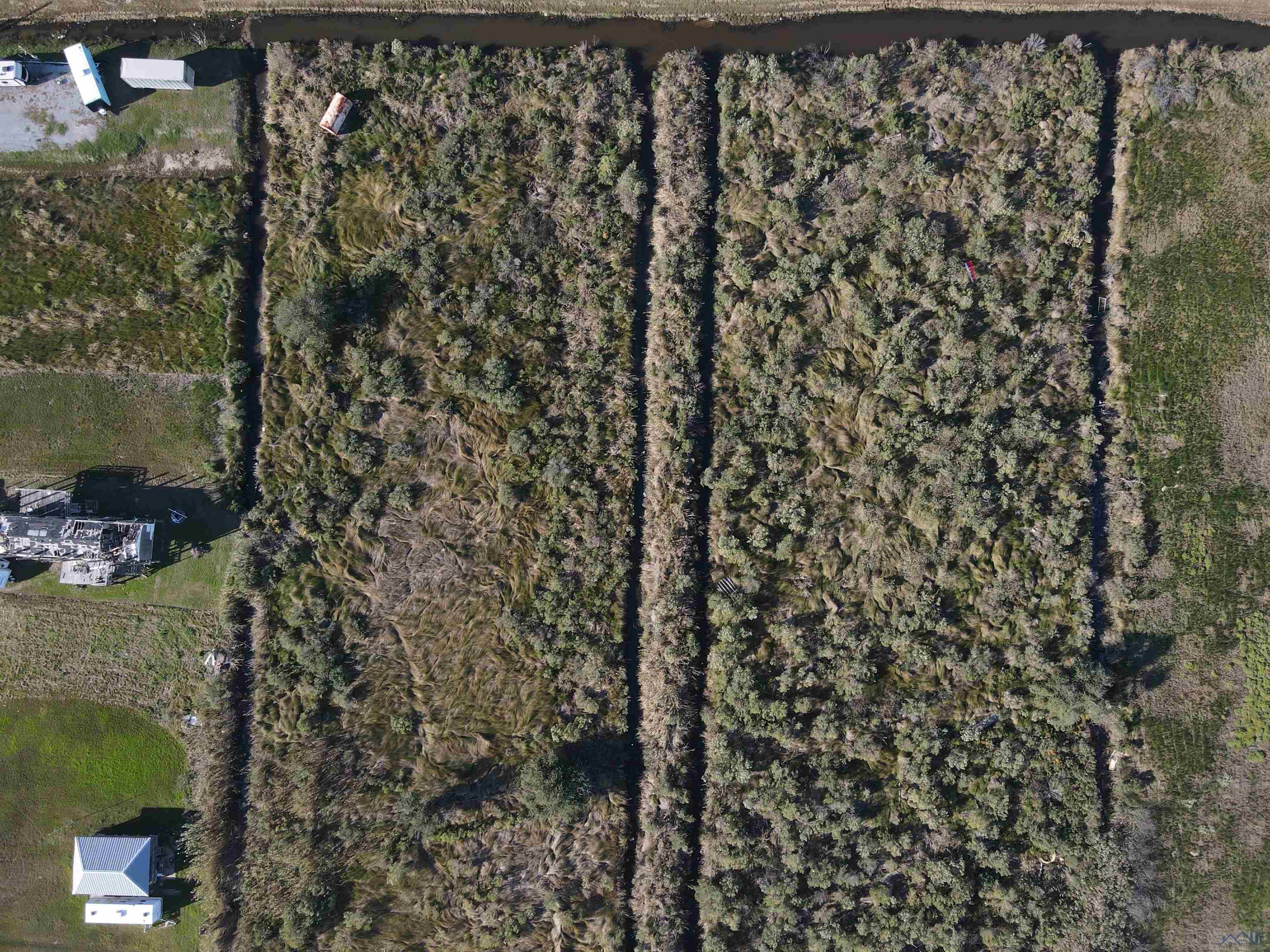 Lot 8 Sq O Elm, Grand Isle, Louisiana image 5