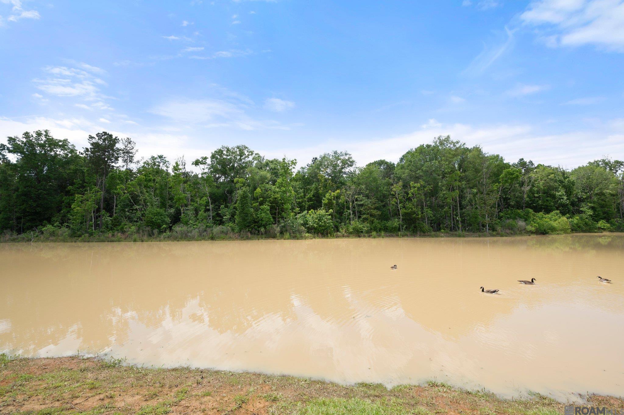 13041 Bayberry Ave, Denham Springs, Louisiana image 18