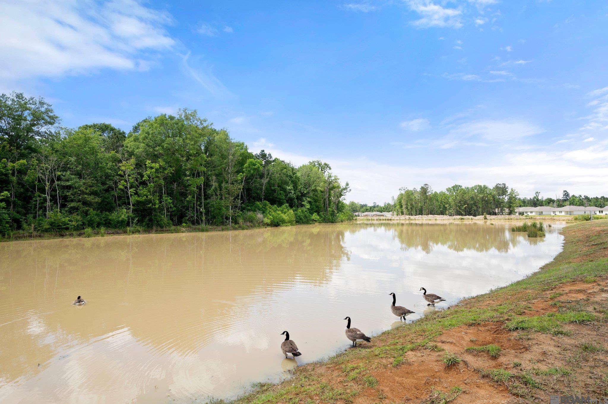 13041 Bayberry Ave, Denham Springs, Louisiana image 17