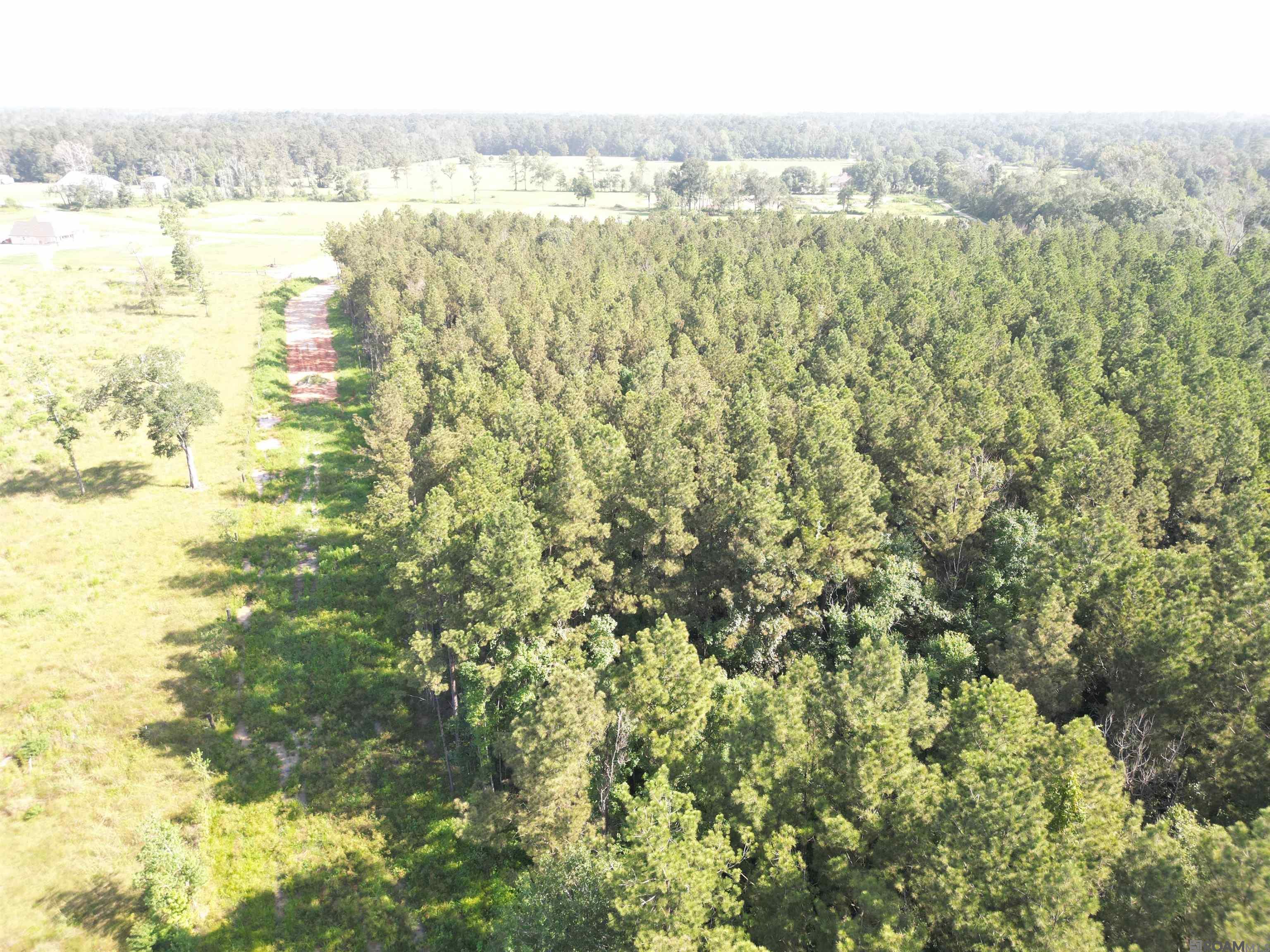 LOT 4 Critter Cove Ln, Livingston, Louisiana image 7