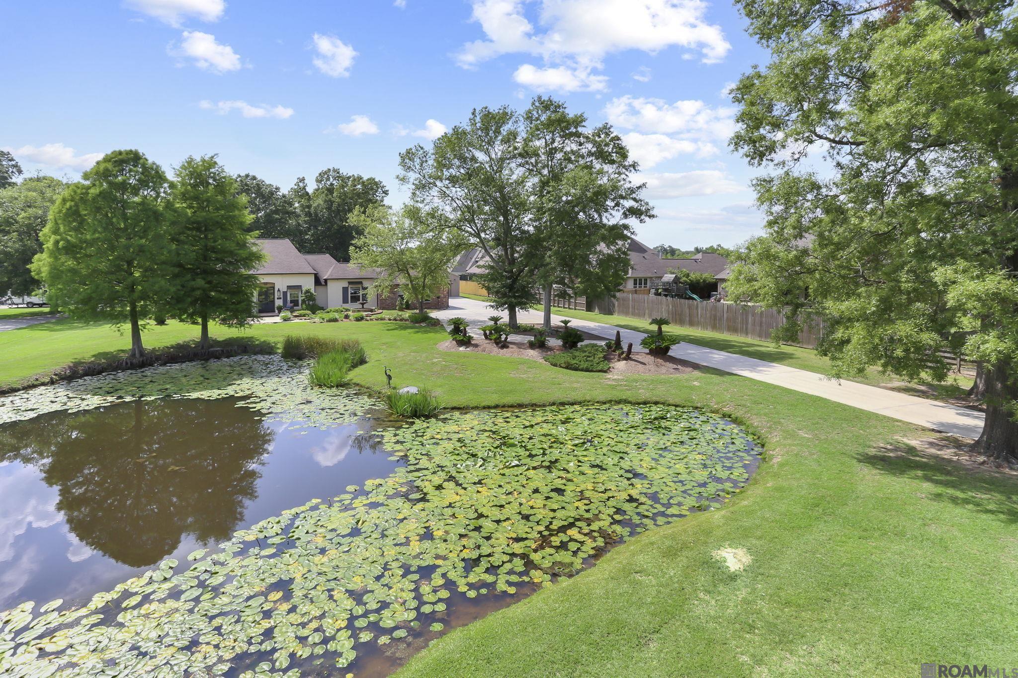15023 North Pointe Dr, Prairieville, Louisiana image 30