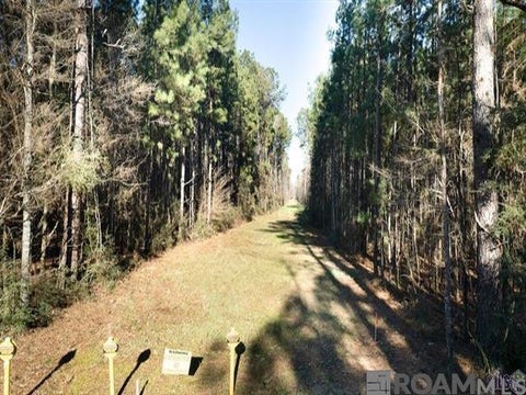 Vacant Land For Sale - TRACT V-4 Jim Price Rd<br/> Greenwell Springs, LA 70739