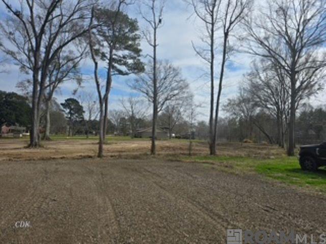 TBD Tiger Bend Rd, Baton Rouge, Louisiana image 4