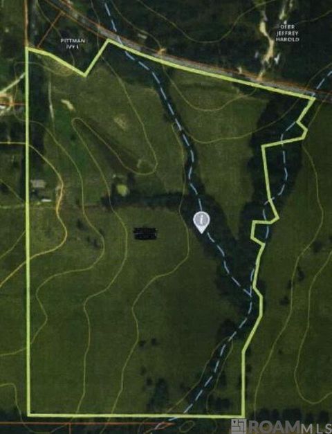 Vacant Land For Sale - 4115 Old Hwy 24<br/> Pike County, Mccomb, MS 39648