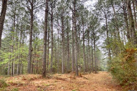 Vacant Land For Sale - 02 Hinton Rd<br/> Gloster, MS 39638