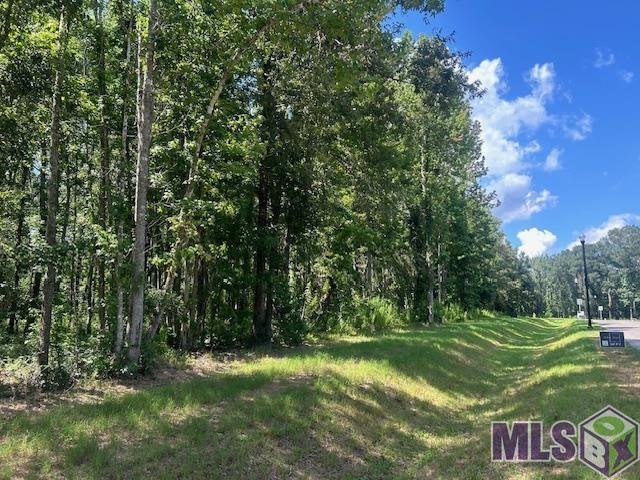 Lot 11 Oak Run Dr, Saint Francisville, Louisiana image 9