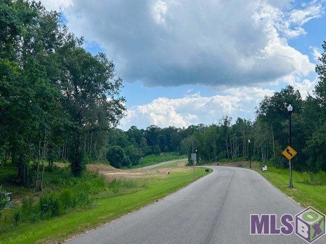 Lot 11 Oak Run Dr, Saint Francisville, Louisiana image 7