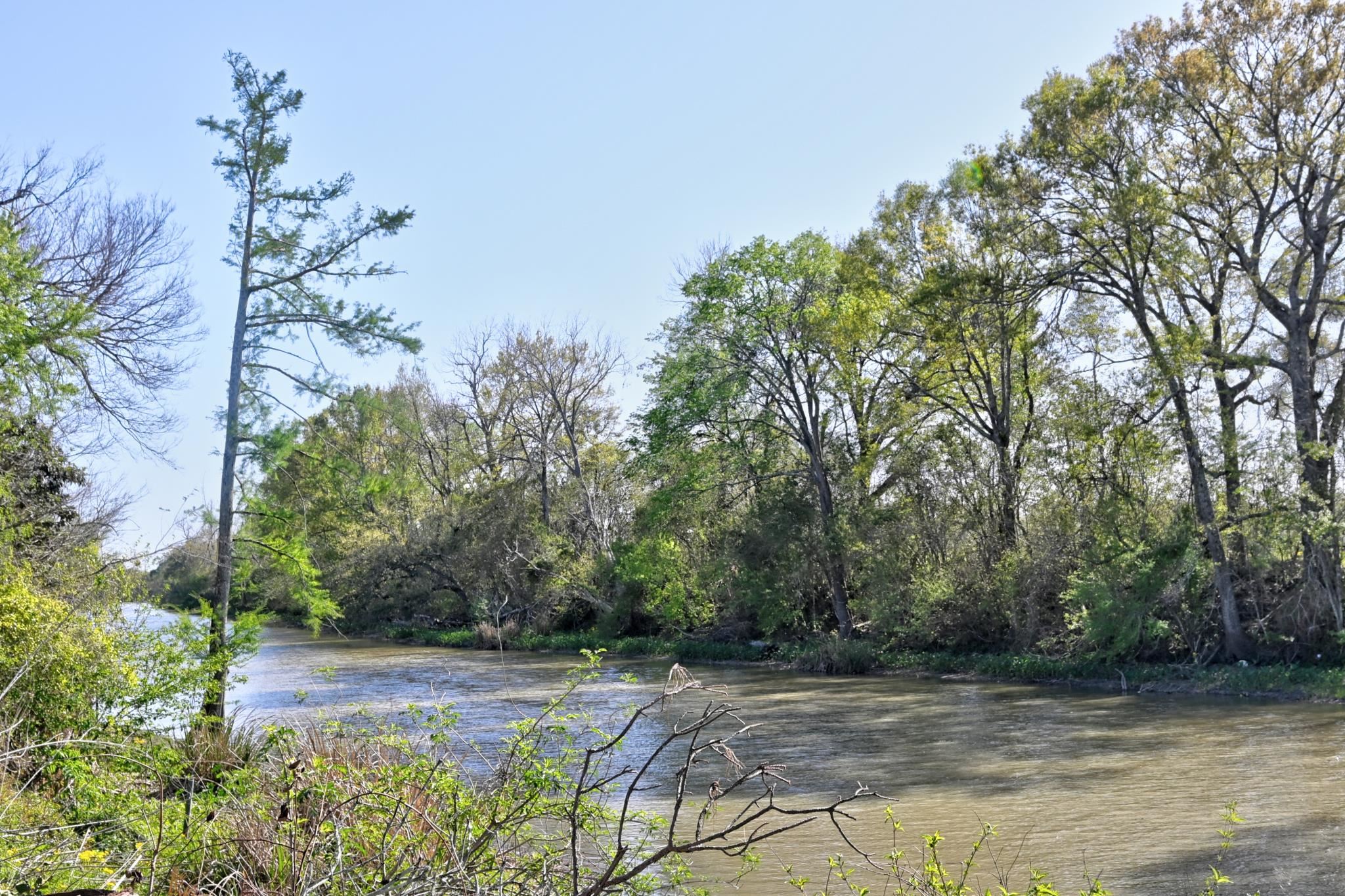 3619 Highway 308, Napoleonville, Louisiana image 24