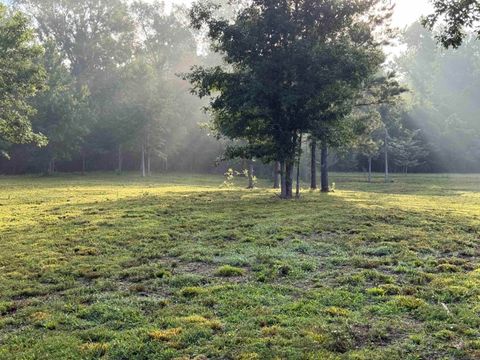 Vacant Land For Sale - 8490 La Hwy 449<br/> Saint Helena County, Greensburg, LA 70441
