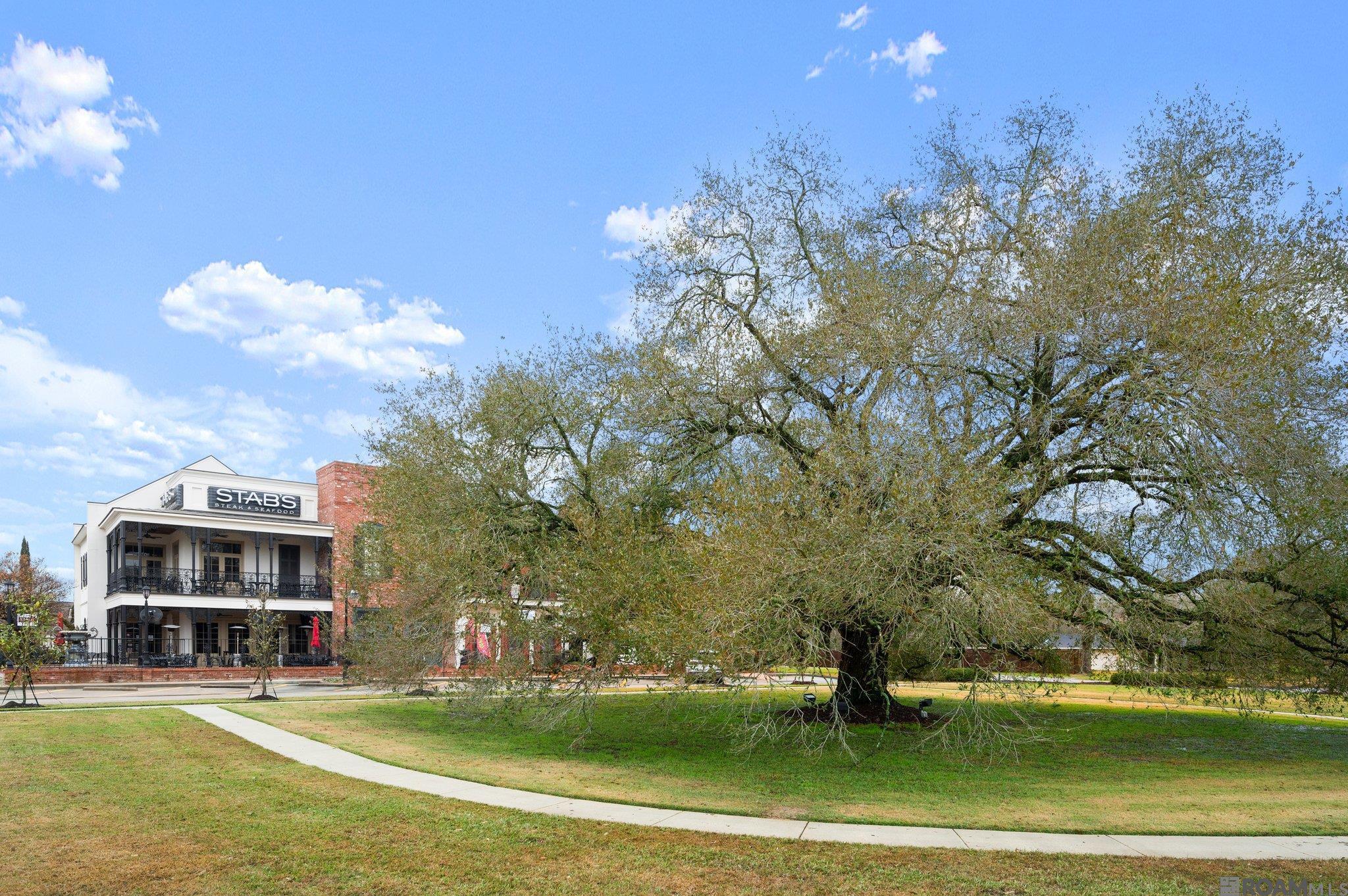 13207 Magnolia Square Dr, Baton Rouge, Louisiana image 24