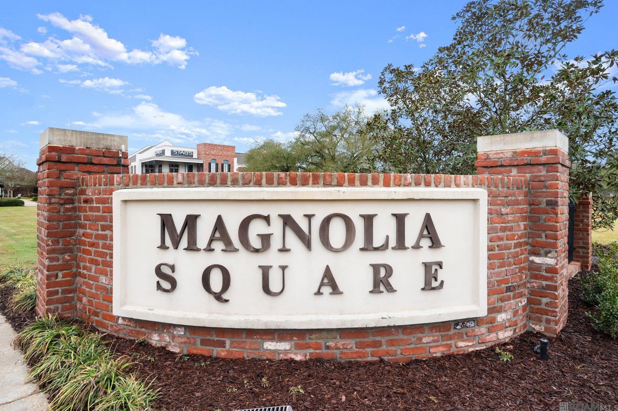 13207 Magnolia Square Dr, Baton Rouge, Louisiana image 22
