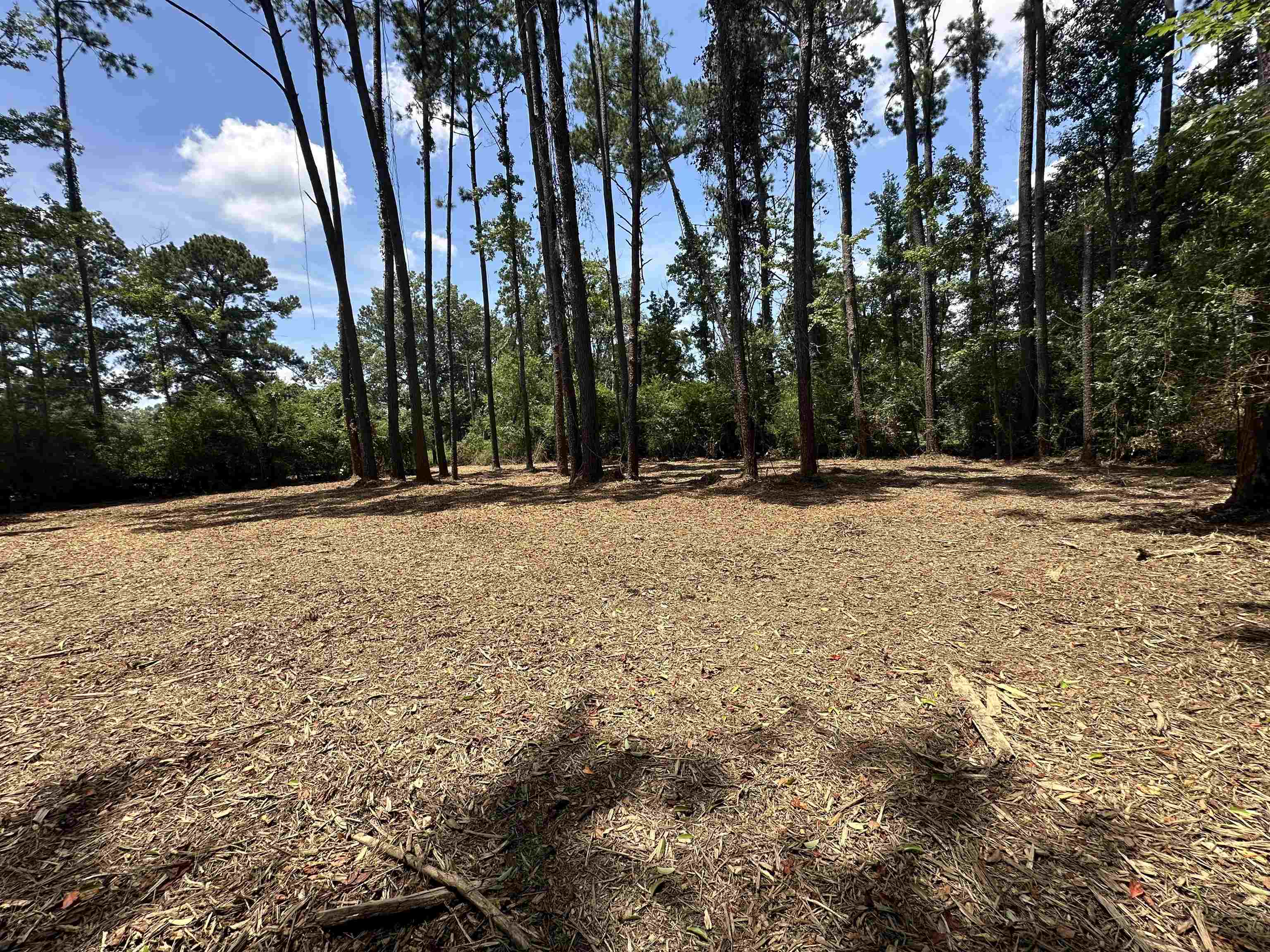 2 Acres Norma Dr, Denham Springs, Louisiana image 9