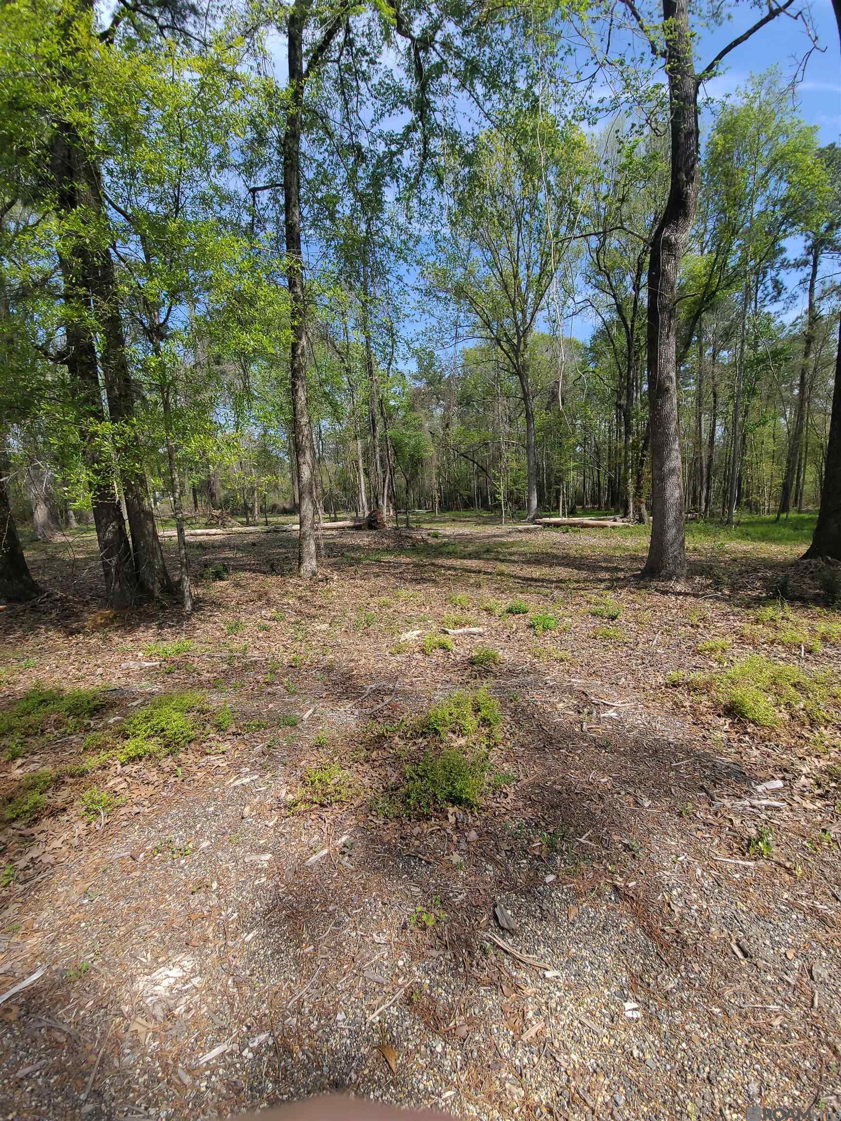 19959 Steve Hughes Rd, Walker, Louisiana image 6