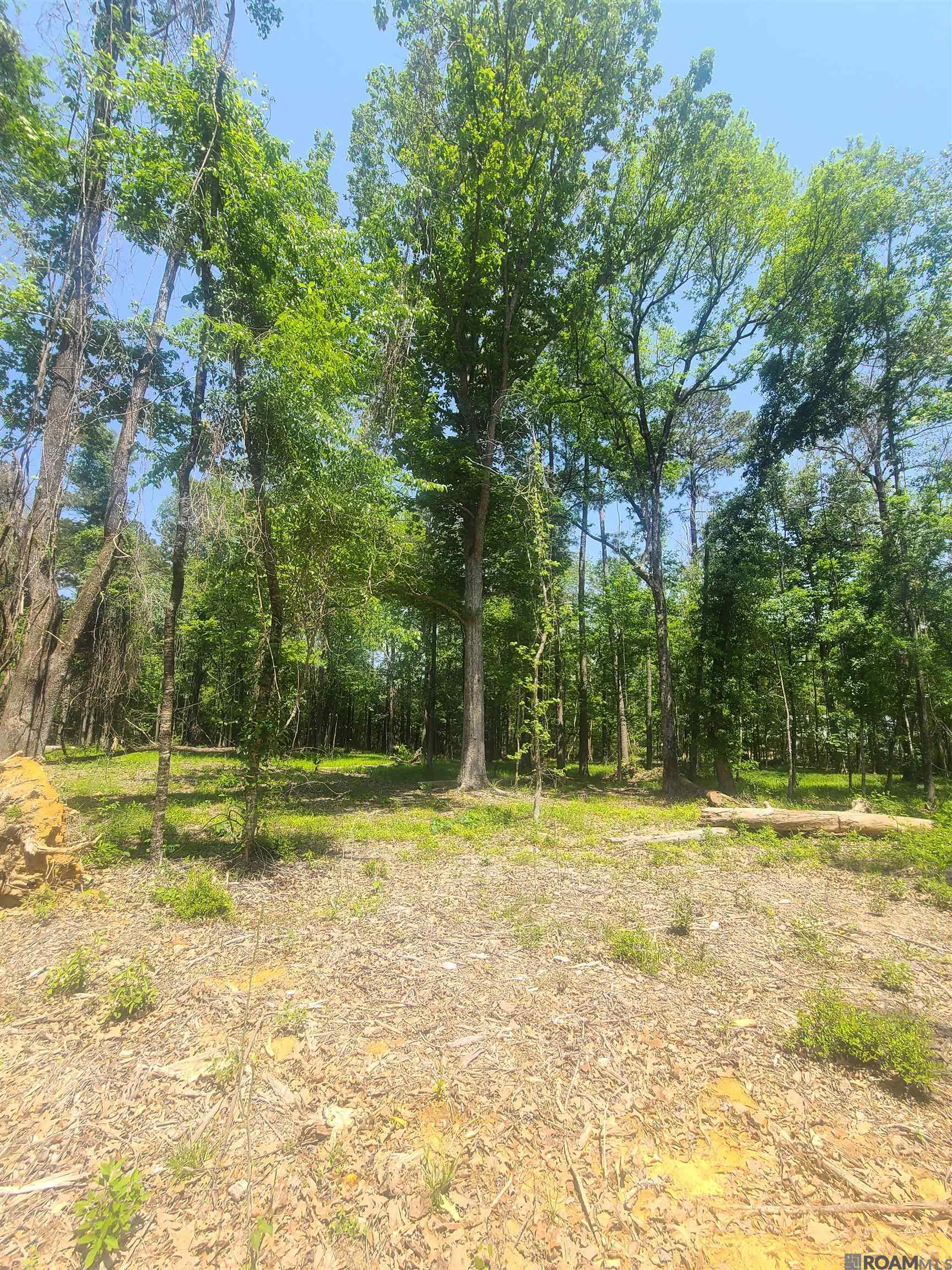 19959 Steve Hughes Rd, Walker, Louisiana image 21