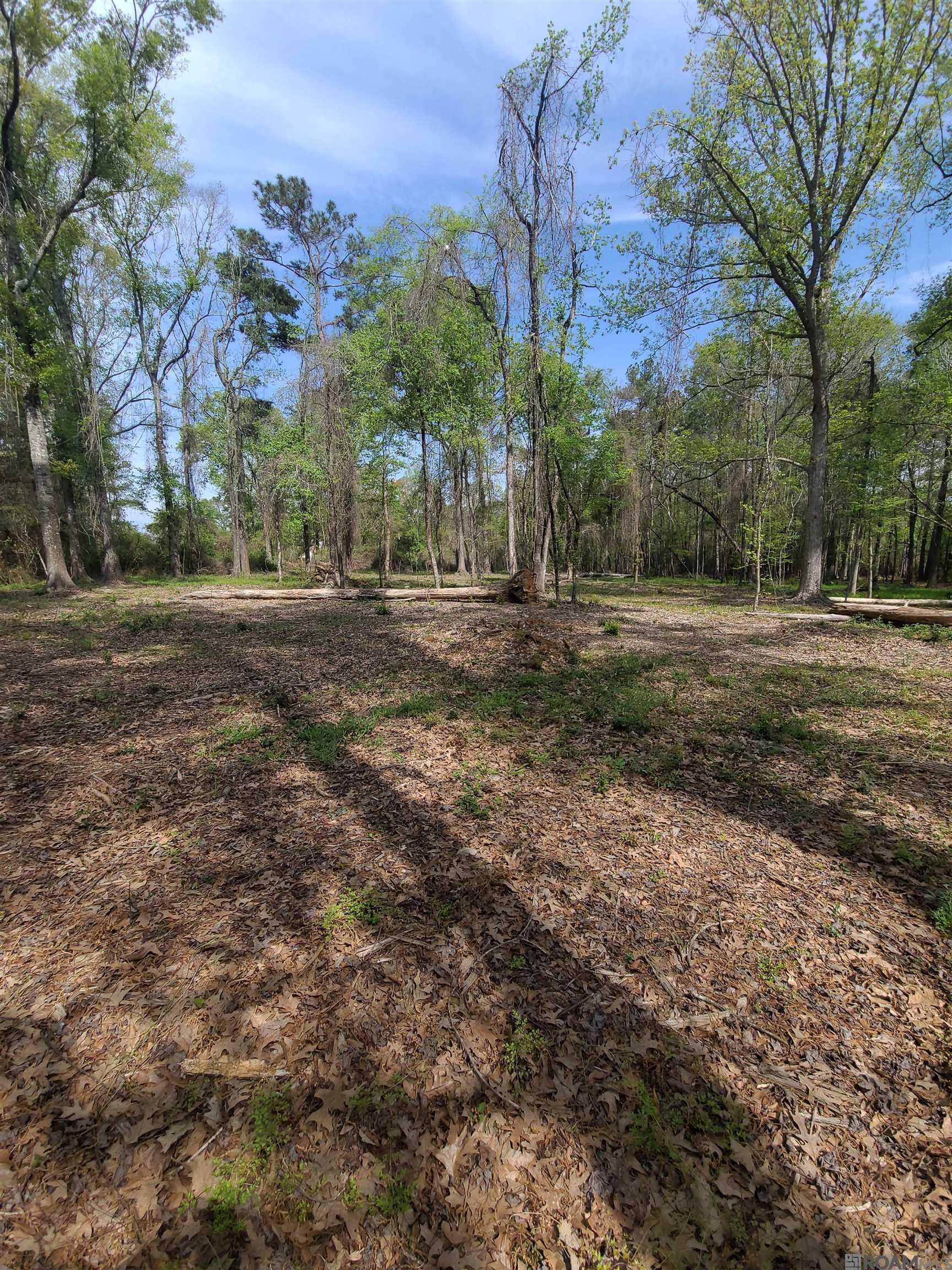 19959 Steve Hughes Rd, Walker, Louisiana image 15