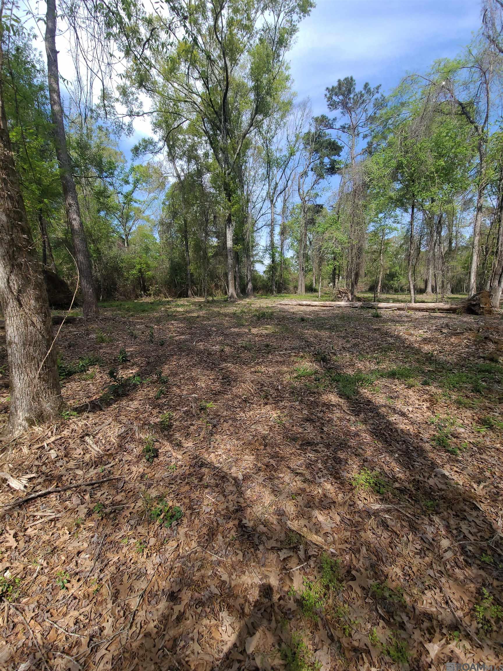 19959 Steve Hughes Rd, Walker, Louisiana image 14