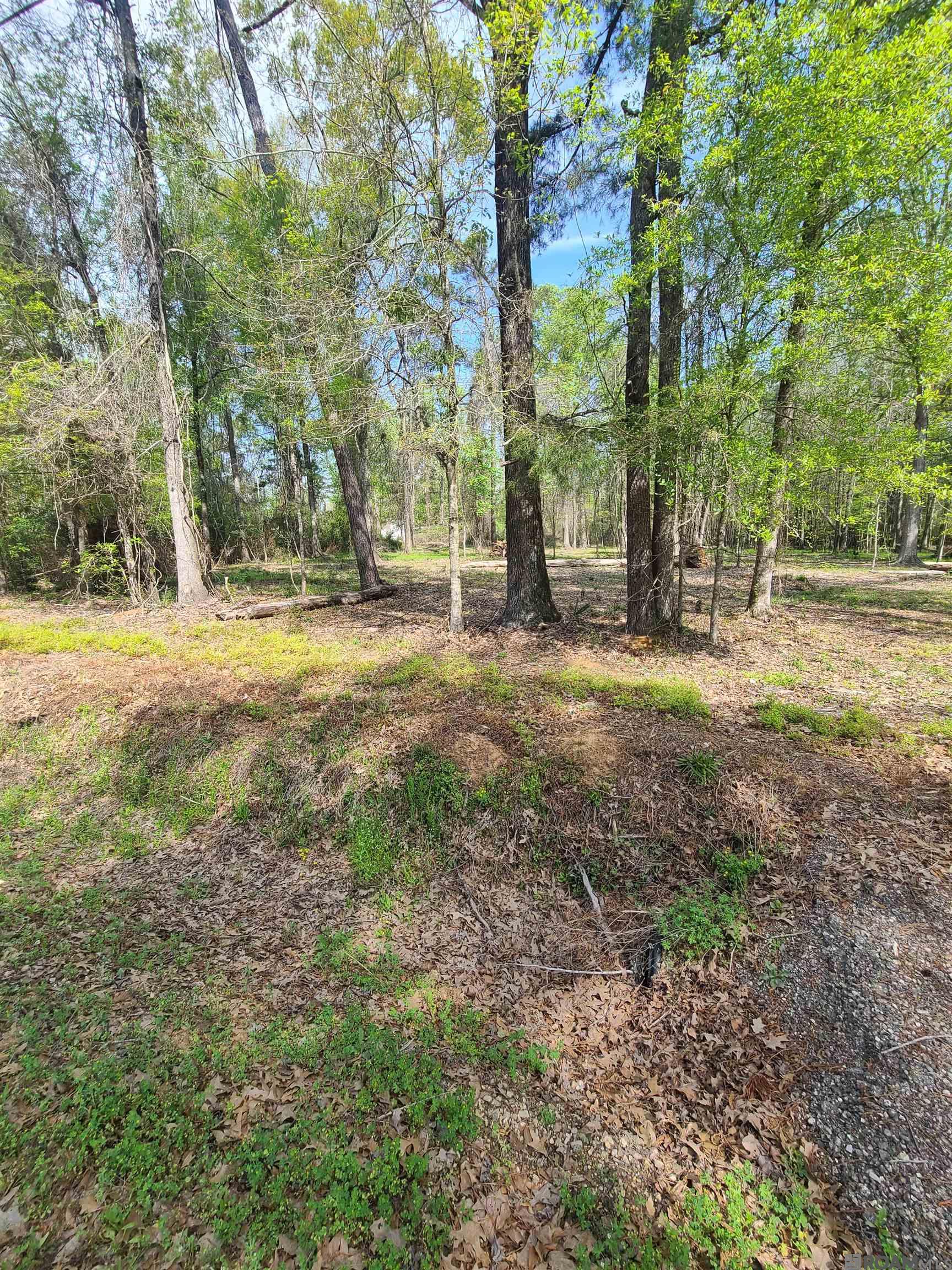 19959 Steve Hughes Rd, Walker, Louisiana image 1