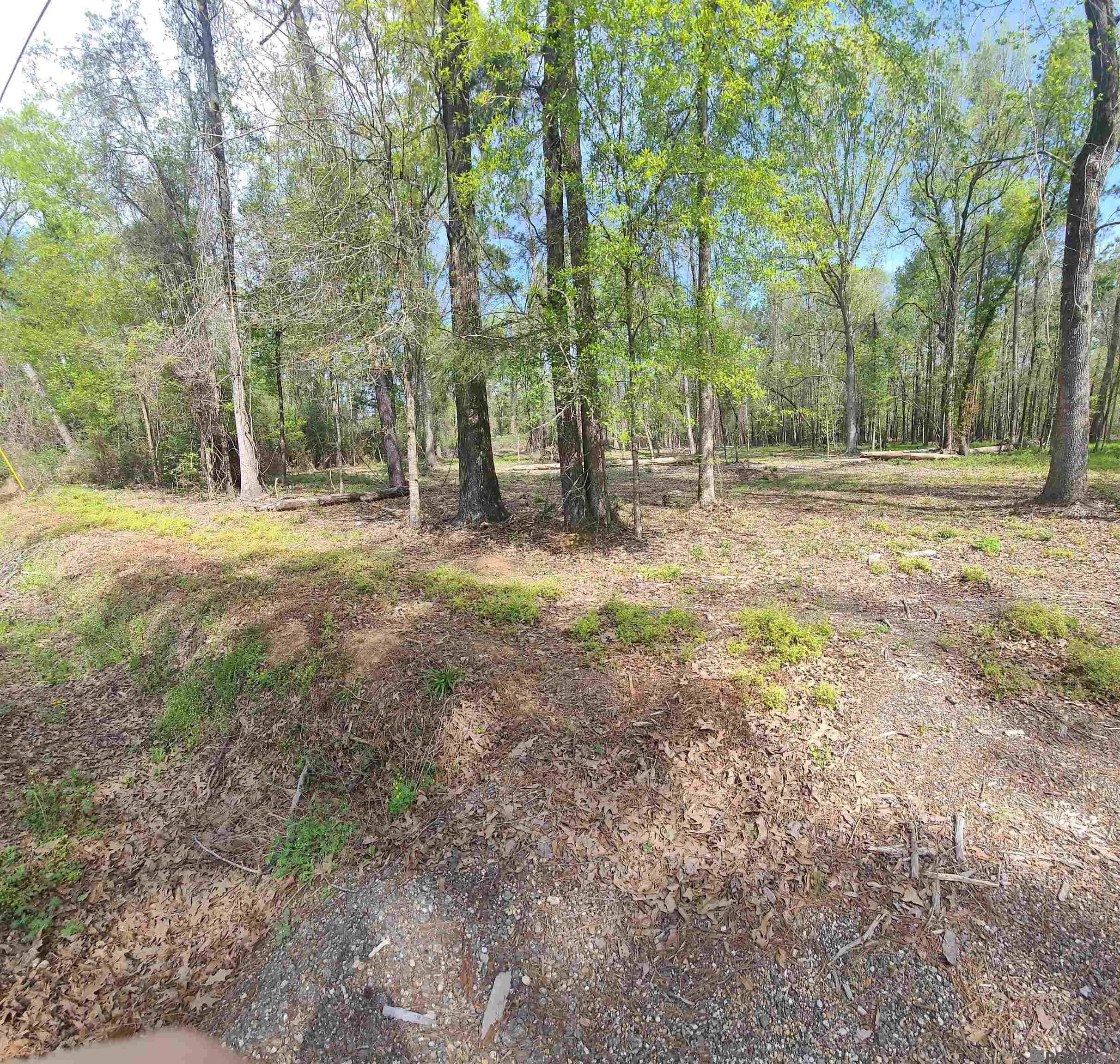 19959 Steve Hughes Rd, Walker, Louisiana image 3