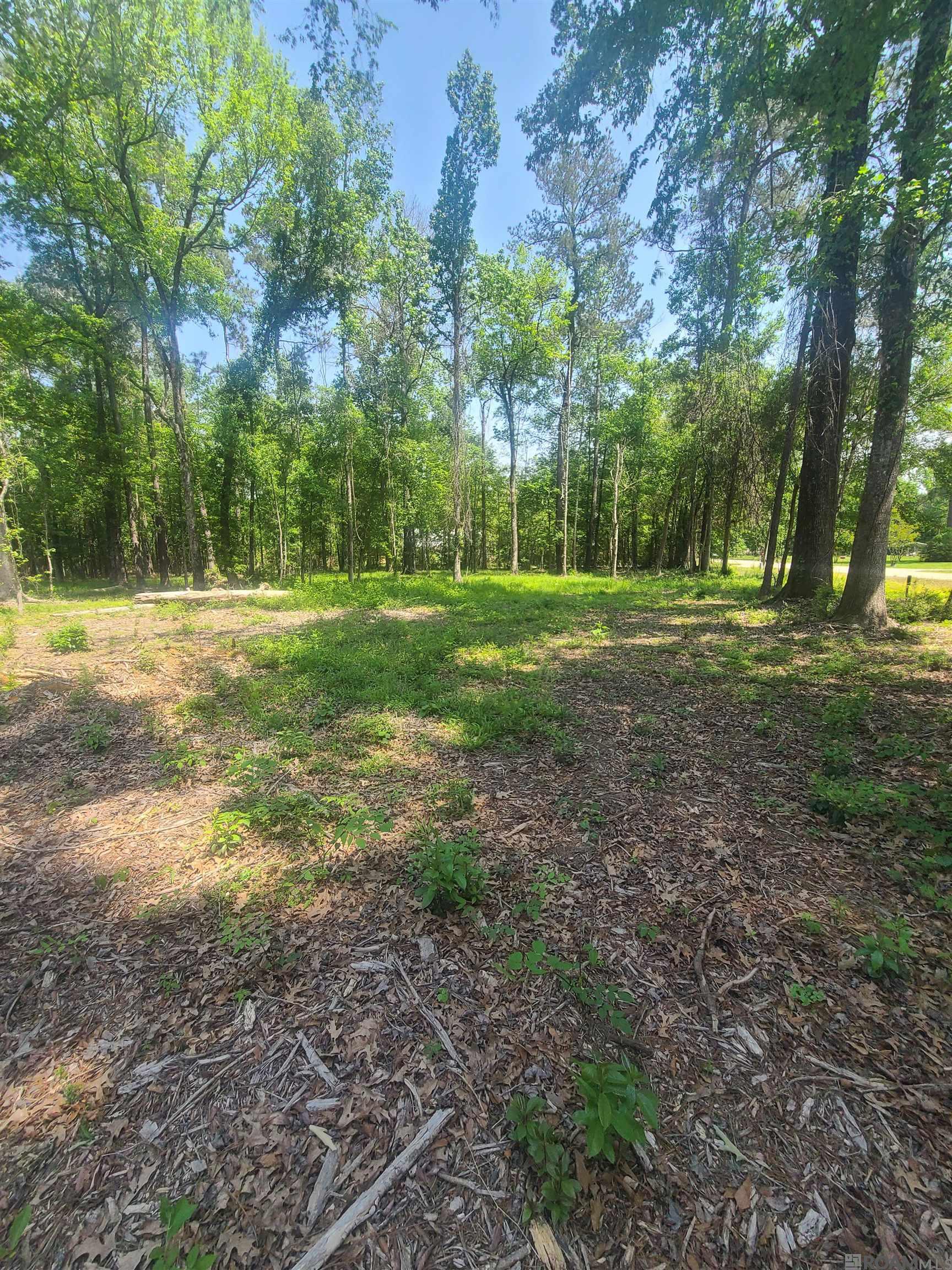 19959 Steve Hughes Rd, Walker, Louisiana image 20