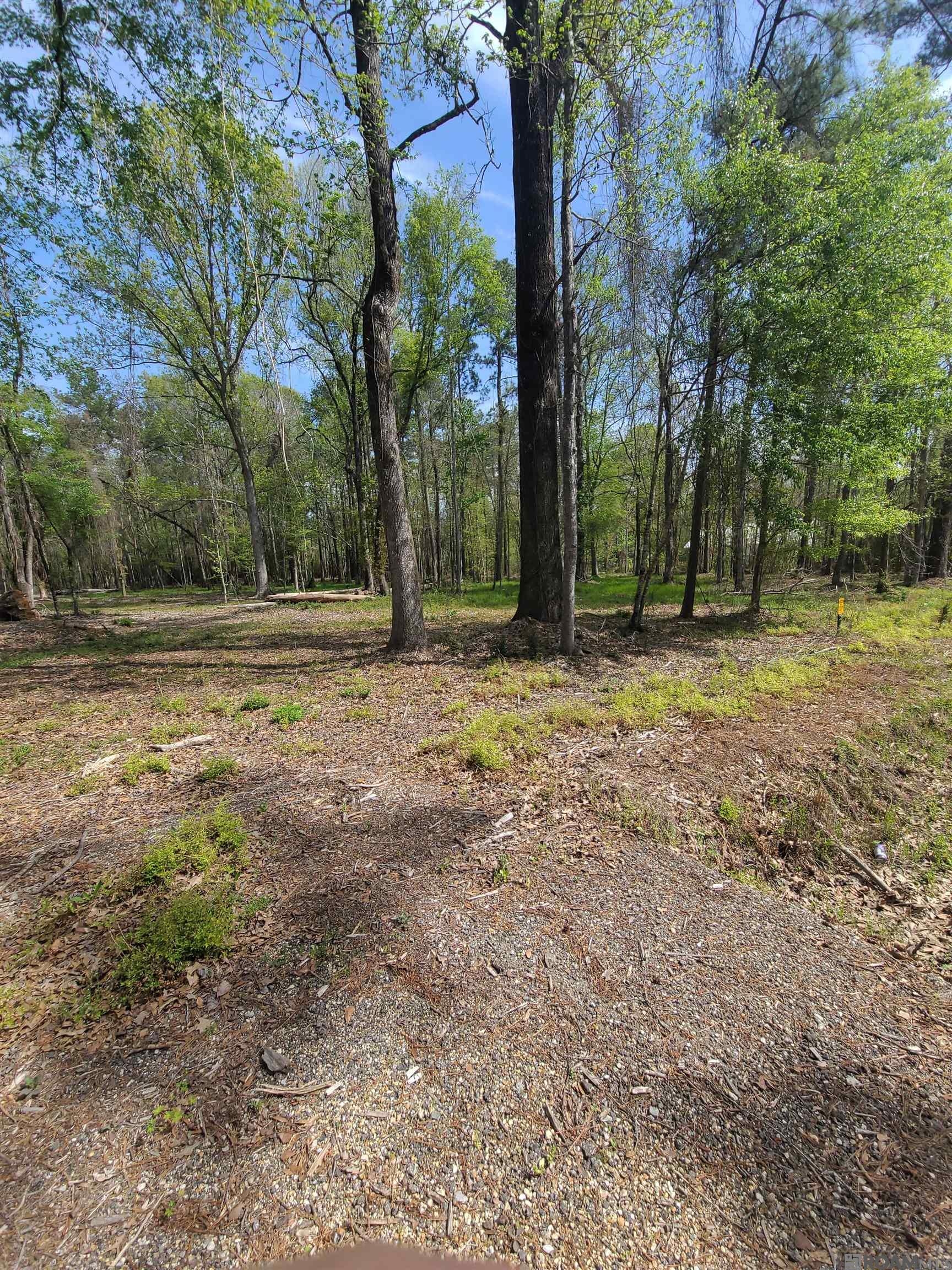 19959 Steve Hughes Rd, Walker, Louisiana image 7