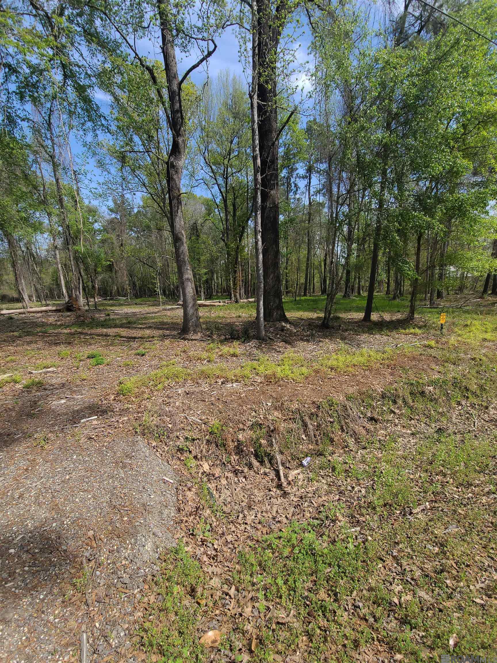 19959 Steve Hughes Rd, Walker, Louisiana image 13