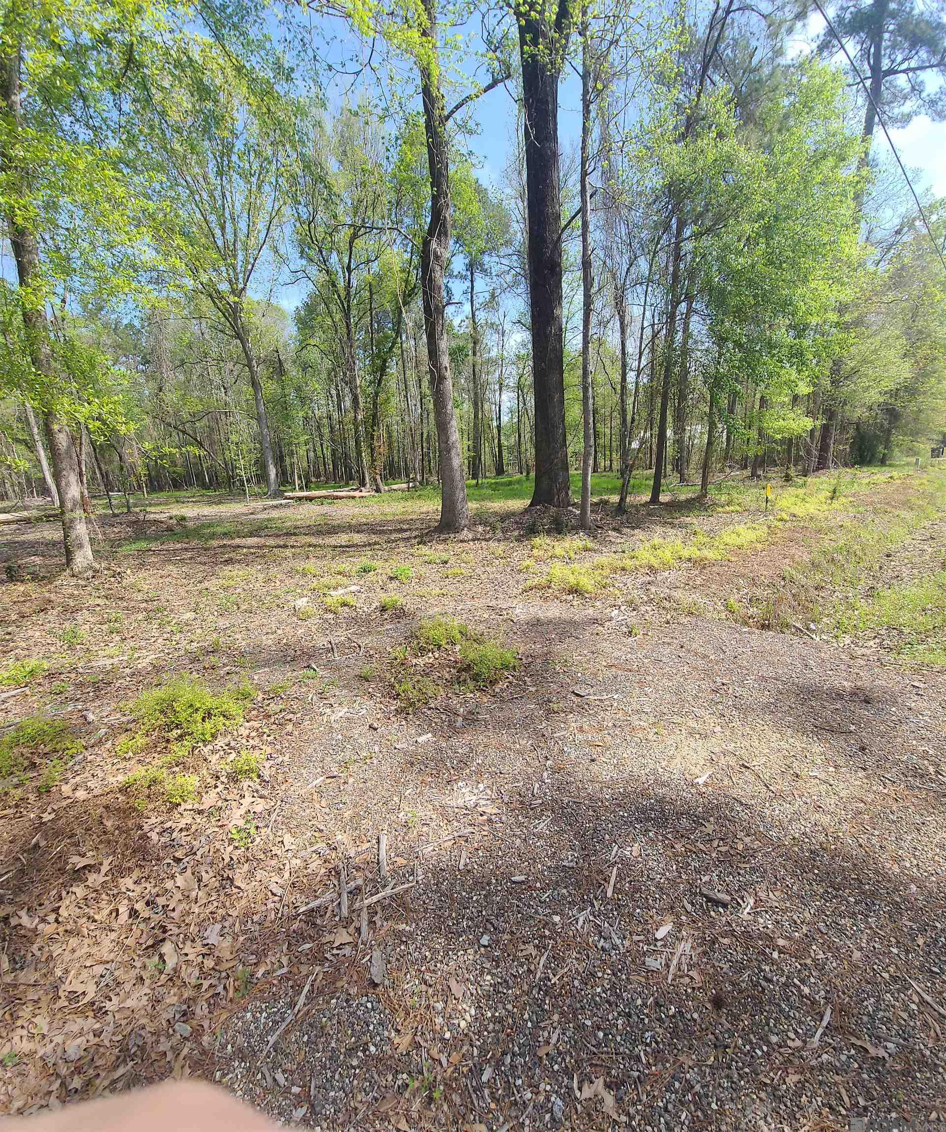 19959 Steve Hughes Rd, Walker, Louisiana image 4