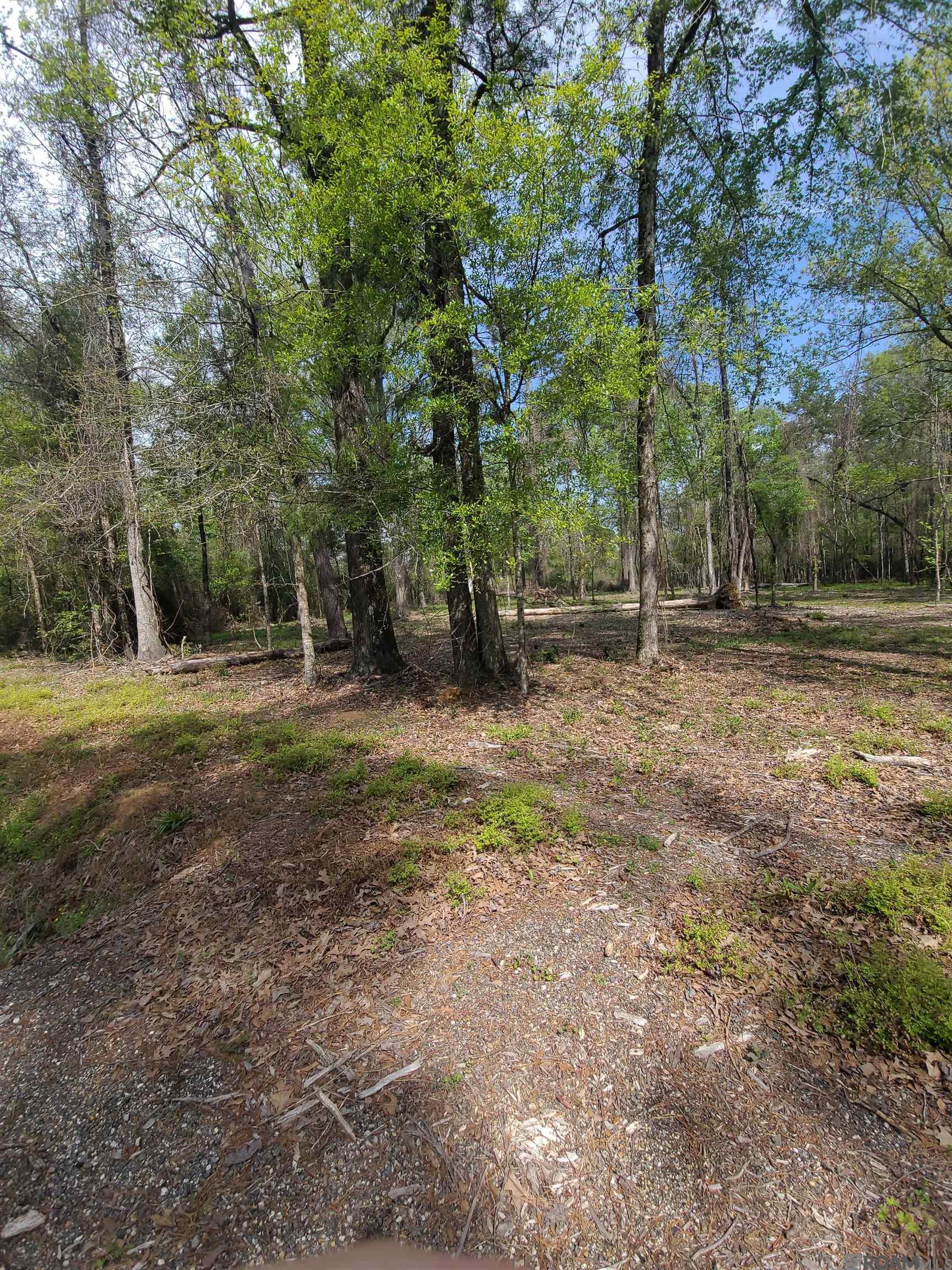 19959 Steve Hughes Rd, Walker, Louisiana image 5