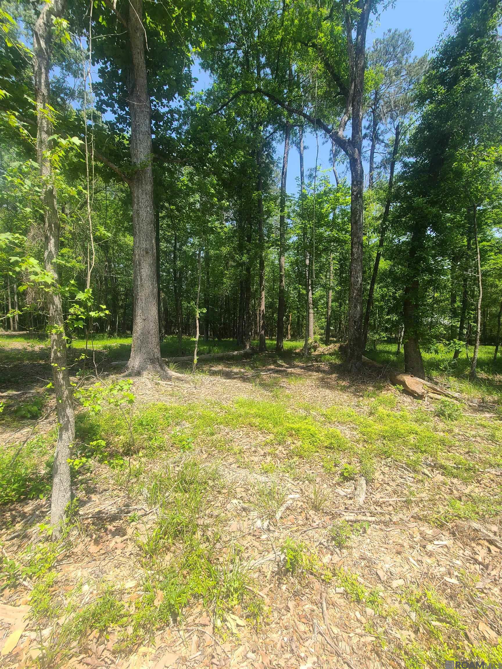 19959 Steve Hughes Rd, Walker, Louisiana image 22
