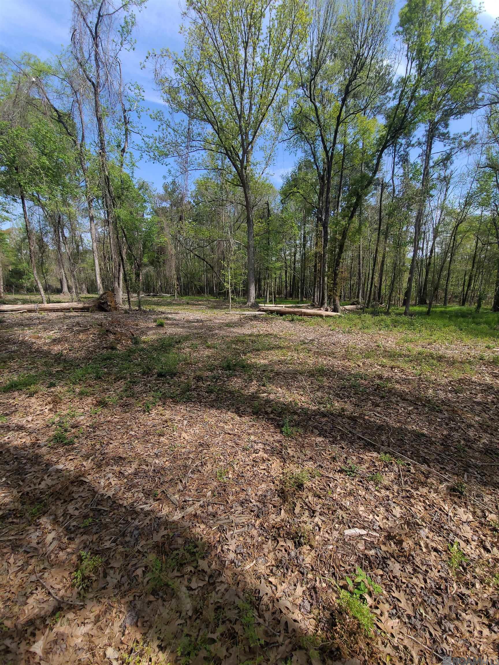 19959 Steve Hughes Rd, Walker, Louisiana image 16