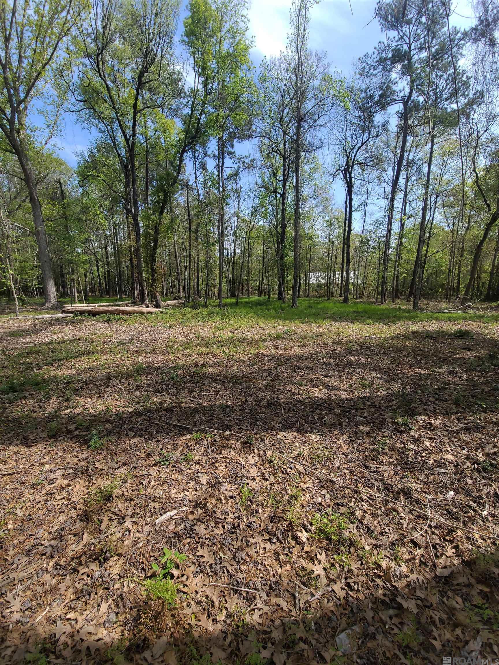 19959 Steve Hughes Rd, Walker, Louisiana image 17