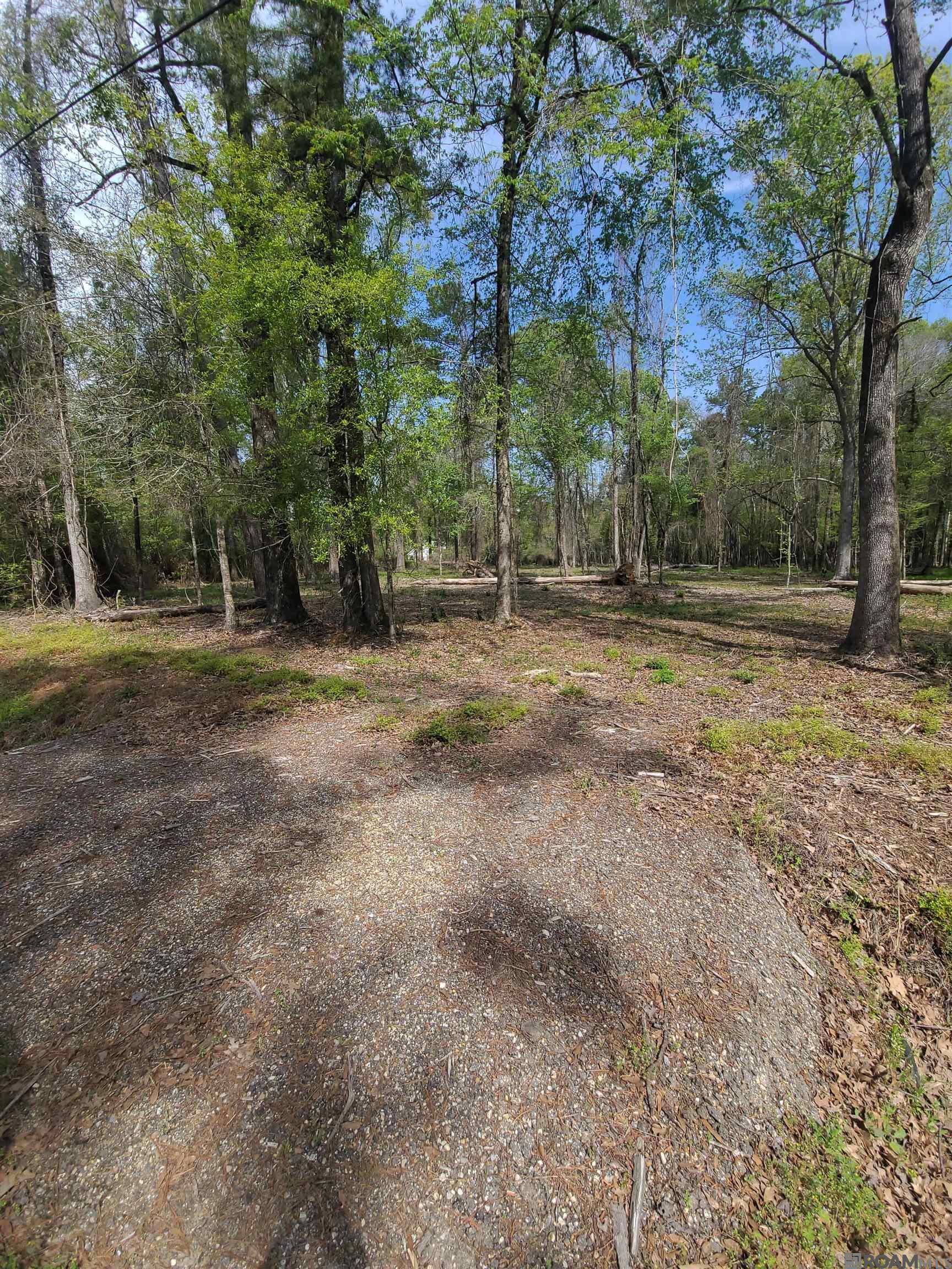 19959 Steve Hughes Rd, Walker, Louisiana image 12