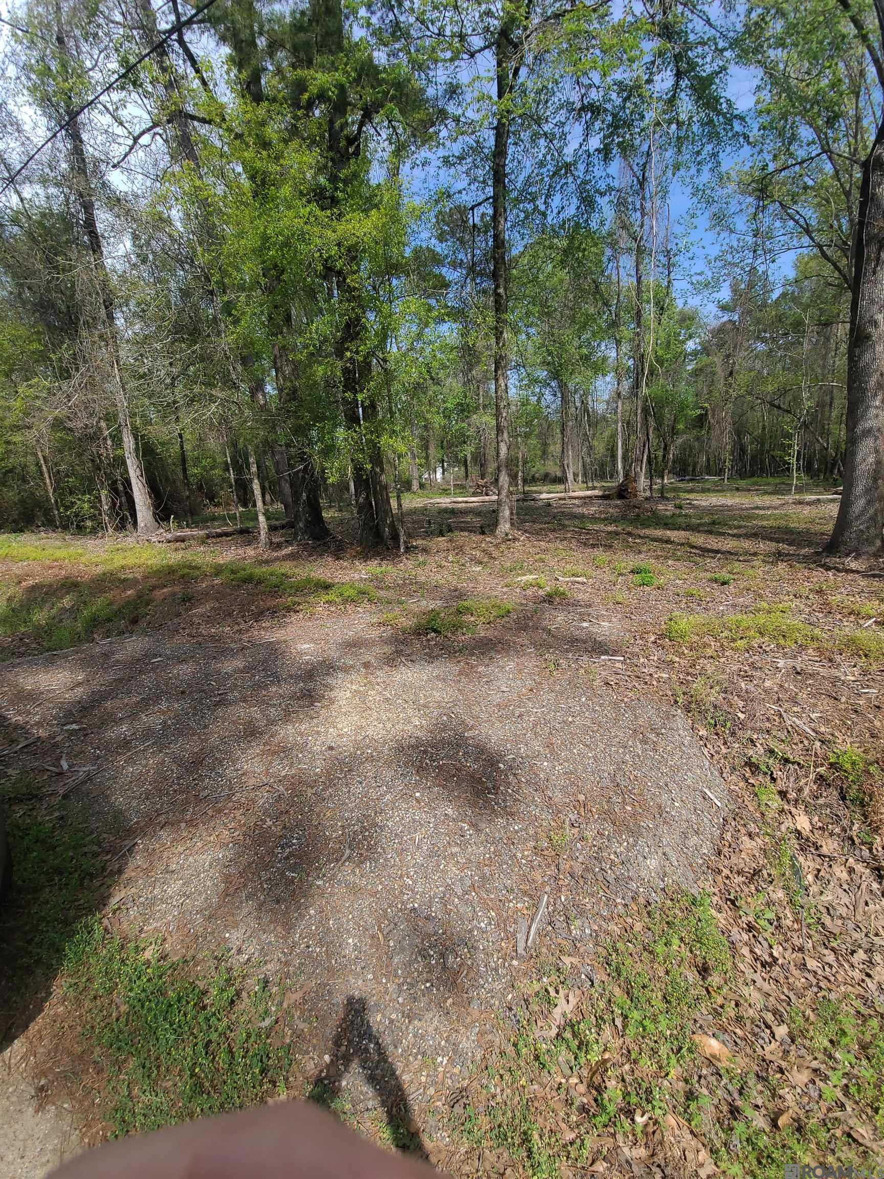 19959 Steve Hughes Rd, Walker, Louisiana image 8