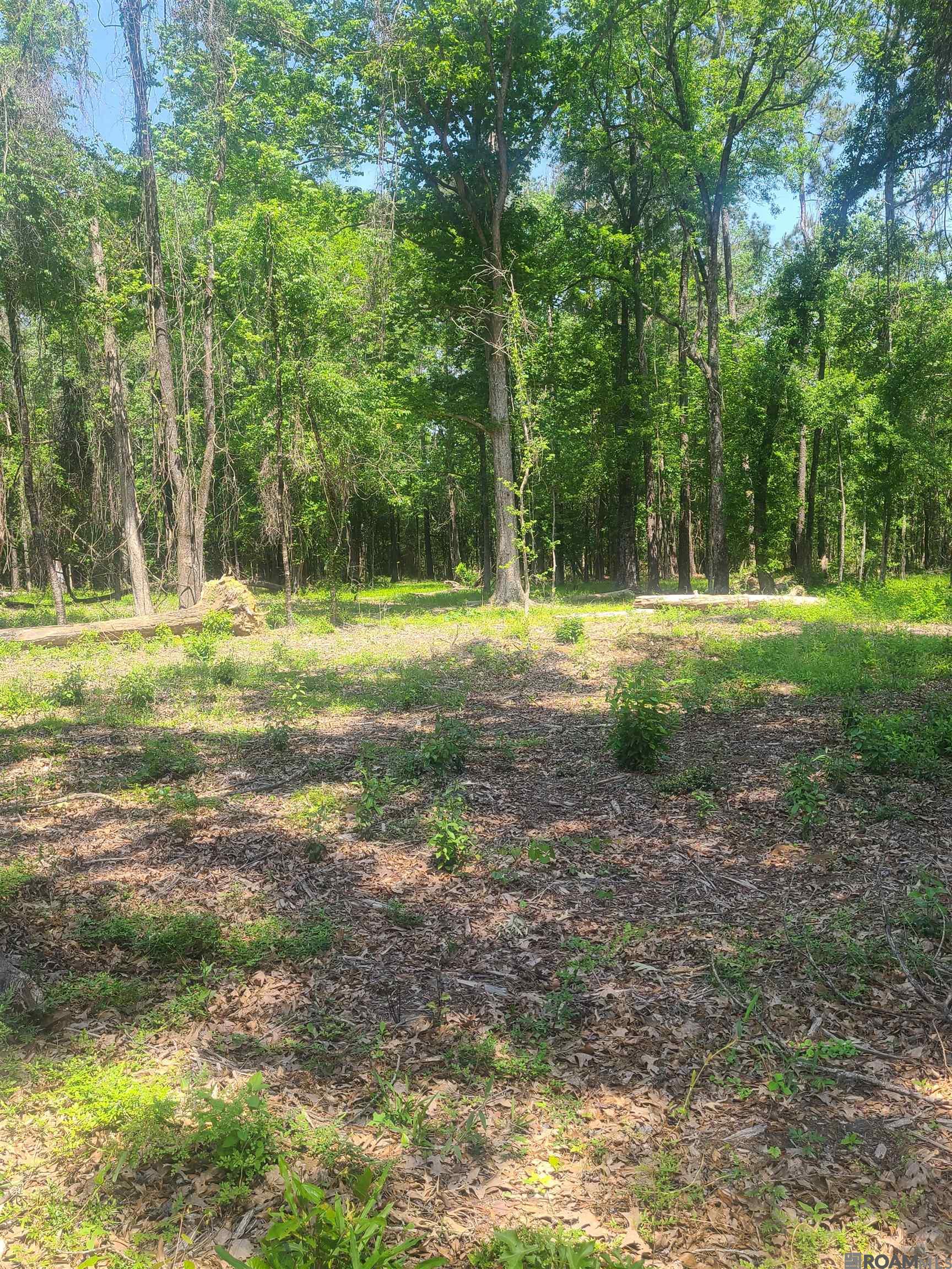 19959 Steve Hughes Rd, Walker, Louisiana image 18