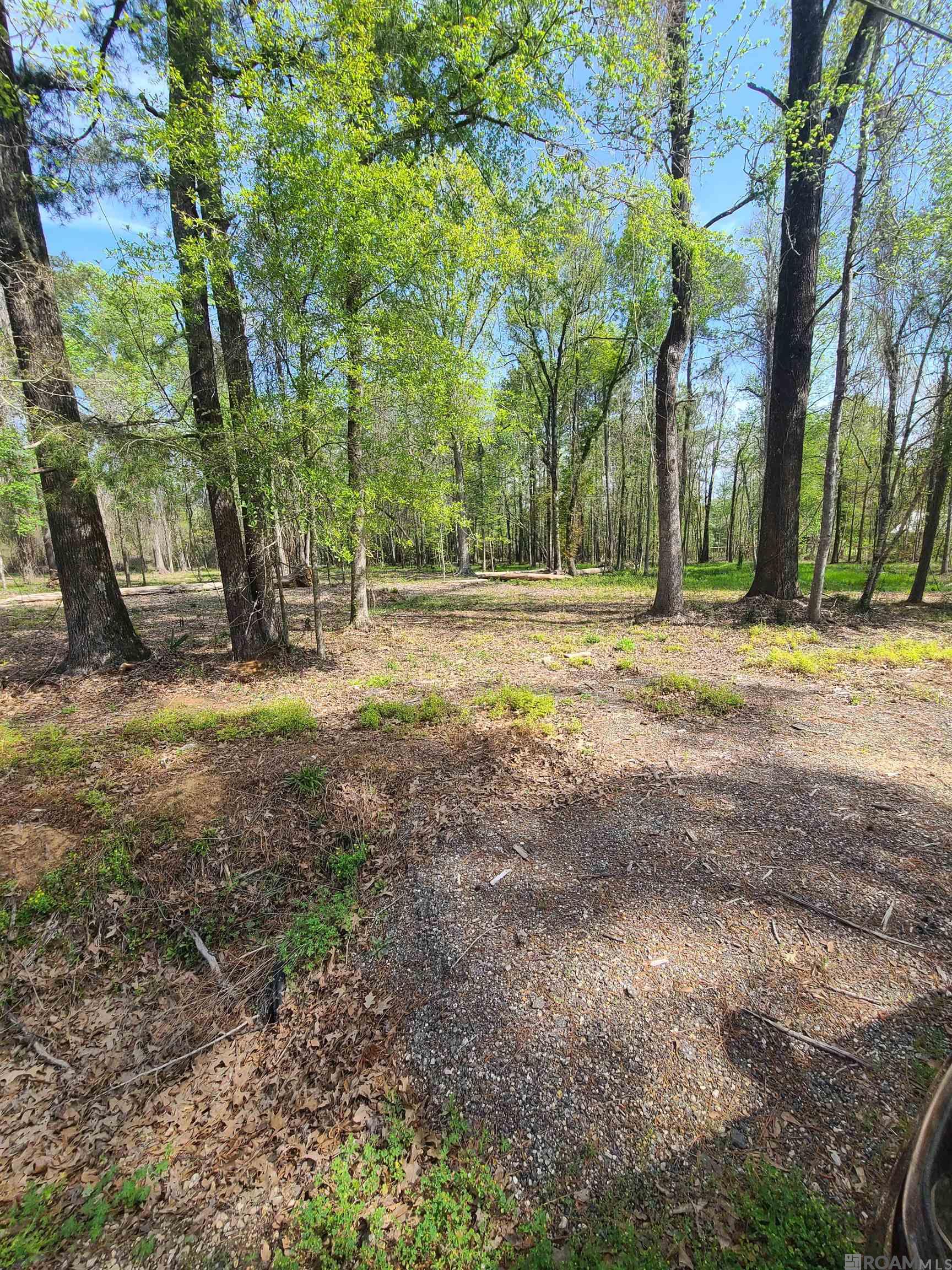 19959 Steve Hughes Rd, Walker, Louisiana image 2
